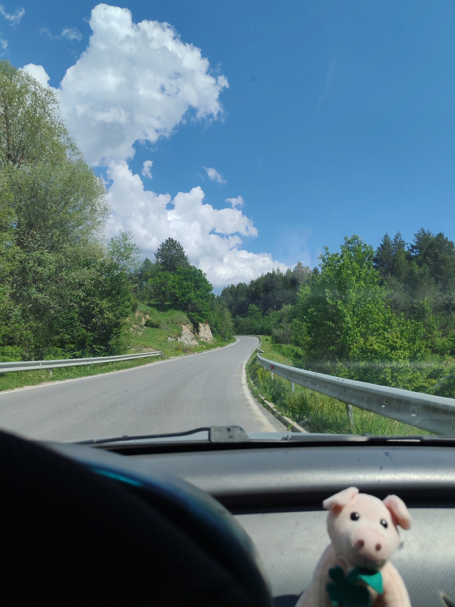 A view from inside a vehicle driving on a winding road in a wooded area. The sky is blue with white, fluffy clouds. The road is paved and has guardrails on both sides. Trees line the road. A small stuffed pig toy with a green clover is on the dashboard of the car. The location is in a rural area with no visible city.
