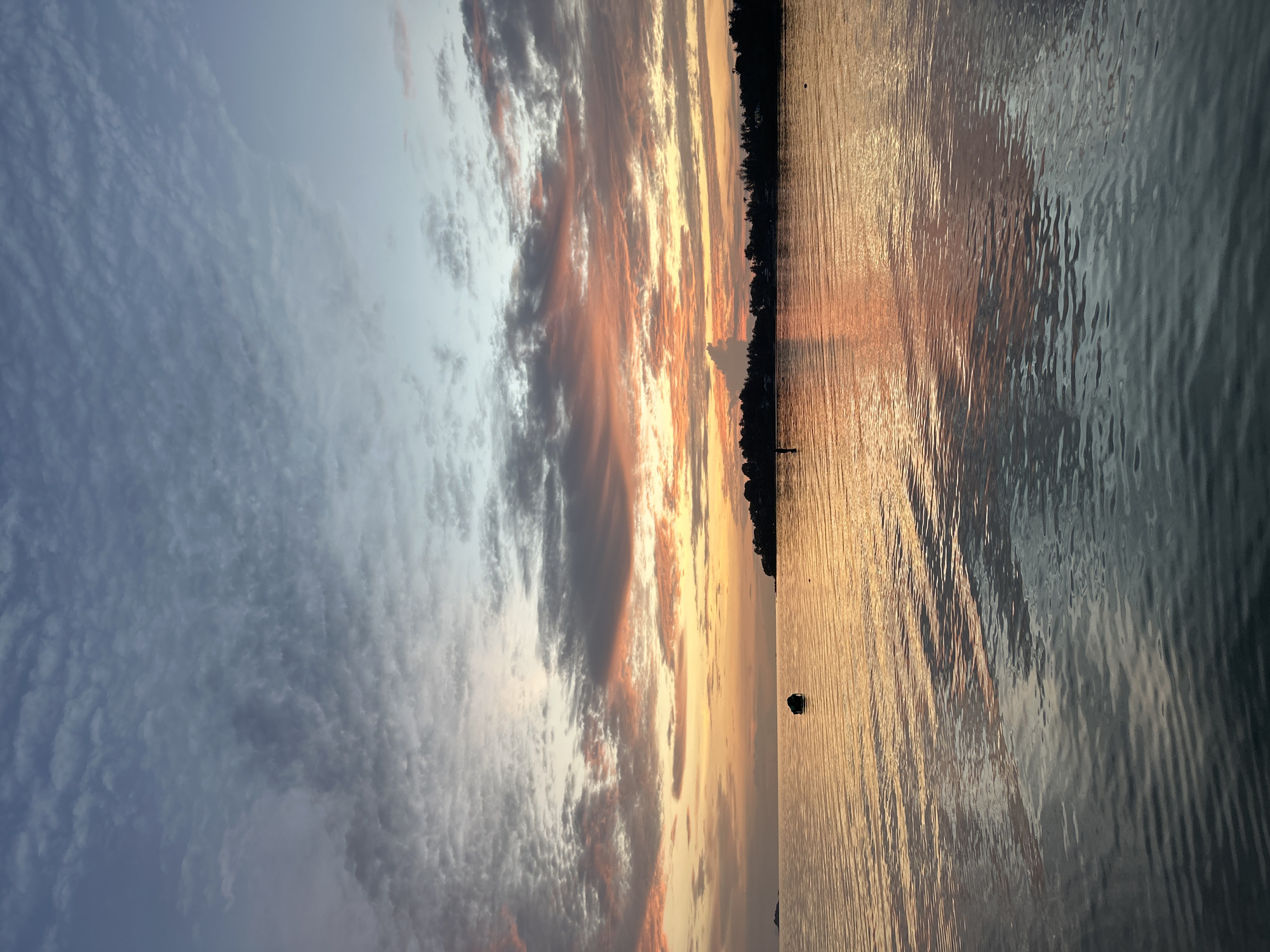 This is a vertical, wide-angle photograph capturing a sunset over the ocean. The sky is filled with dramatic clouds, painted in hues of orange, pink, and gray. The clouds are textured and wispy, with streaks of sunlight breaking through. The sun itself is not directly visible but is implied by the warm, golden light reflecting on the water's surface.
The ocean occupies the right two-thirds of the frame and is characterized by gentle ripples that catch the light, creating a shimmering effect. The left third of the image is dominated by the sky and a silhouetted shoreline. The shoreline is lined with dark trees, creating a stark contrast against the vibrant sky and water. A few small, dark objects, possibly buoys or small boats, are visible on the water, adding a sense of scale to the vastness of the scene. One such object appears to be a small, dark silhouette of what could be a person or a structure. The overall mood is serene and peaceful, with the vibrant colors of the sunset evoking a sense of wonder and tranquility. The time of day is clearly sunset, indicated by the low angle of the sun and the warm, diffused light. The location appears to be a coastal area, given the ocean and shoreline.
