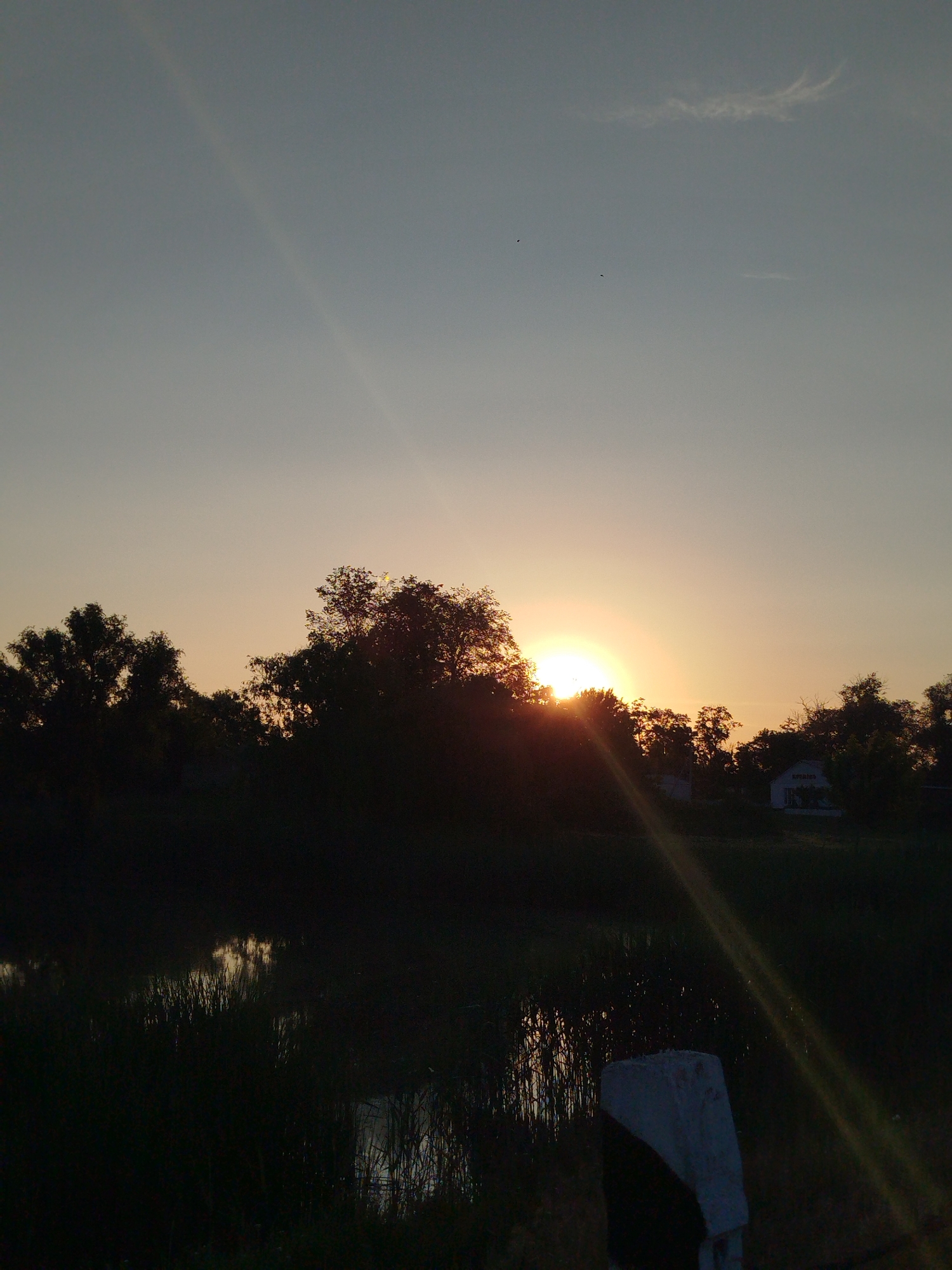 A landscape photograph, identified as being captured in Ustyvytsia, Ukraine, depicts a low sun positioned above the horizon, partially obscured by a dense, silhouetted tree line. The sky exhibits a gradient from a warm, pale orange-yellow near the sun to a muted blue-grey at the zenith. A thin, wispy cloud formation is present in the upper right quadrant of the sky, along with two small, dark avian silhouettes in the upper left. Distinct diagonal sunbeams (lens flares) emanate from the sun, extending across the frame. In the midground, behind the trees on the right, a light-colored building with a dark roof is partially visible, appearing to have lettering that faintly suggests "LIFEGUARD." The foreground consists of a dark body of water, likely a pond or marsh, from which tall, dark reeds or grasses emerge, reflecting intermittent light. A prominent, irregularly shaped object, appearing to be a concrete marker or post, is situated in the lower right foreground, partially cut off by the frame. The scene is heavily backlit, resulting in pronounced silhouettes of the trees and foreground elements.