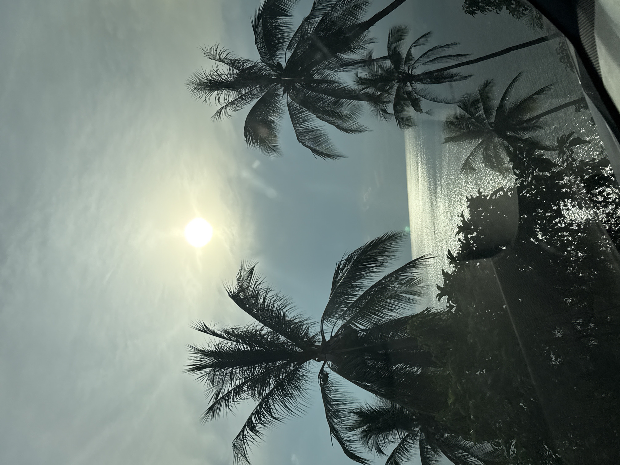 The image captures a sunny, tropical coastal landscape, viewed through a wet or textured window, possibly from a vehicle. The bright, intense sun is positioned in the upper left of a light blue, hazy sky. Multiple palm trees, rendered in dark silhouette, dominate the foreground and mid-ground, their fronds sharply defined against the radiant sky. To the right, a shimmering body of water, likely the ocean, reflects the sunlight brightly. Along the water's edge, dark, indistinct foliage is visible. The view is partially obscured and distorted by a patterned surface on the glass, resembling condensation or raindrops. A vertical structural element on the far right suggests a window frame. The high sun indicates mid-day. No text is present. The scene strongly suggests a warm, tropical setting in Baan Taling Ngam, Thailand.