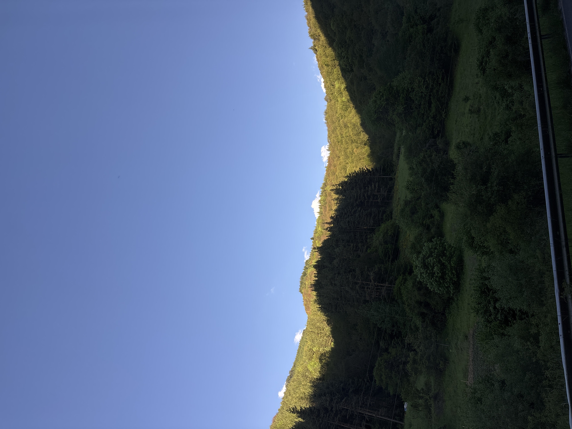 A photograph shows a landscape with a clear, blue sky dominating the left side of the frame. On the right, a densely forested hillside rises, split vertically into illuminated and shadowed sections. The vegetation appears lush and green, with varying tones suggesting different plant life and the effects of sunlight. An unidentified horizontal structure, possibly a railing or road barrier, runs along the top right edge of the photo.
Without explicit indicators, the exact location in Lyaskovo, Bulgaria, cannot be definitively pinpointed. However, the scene depicts a natural, mountainous or hilly environment.