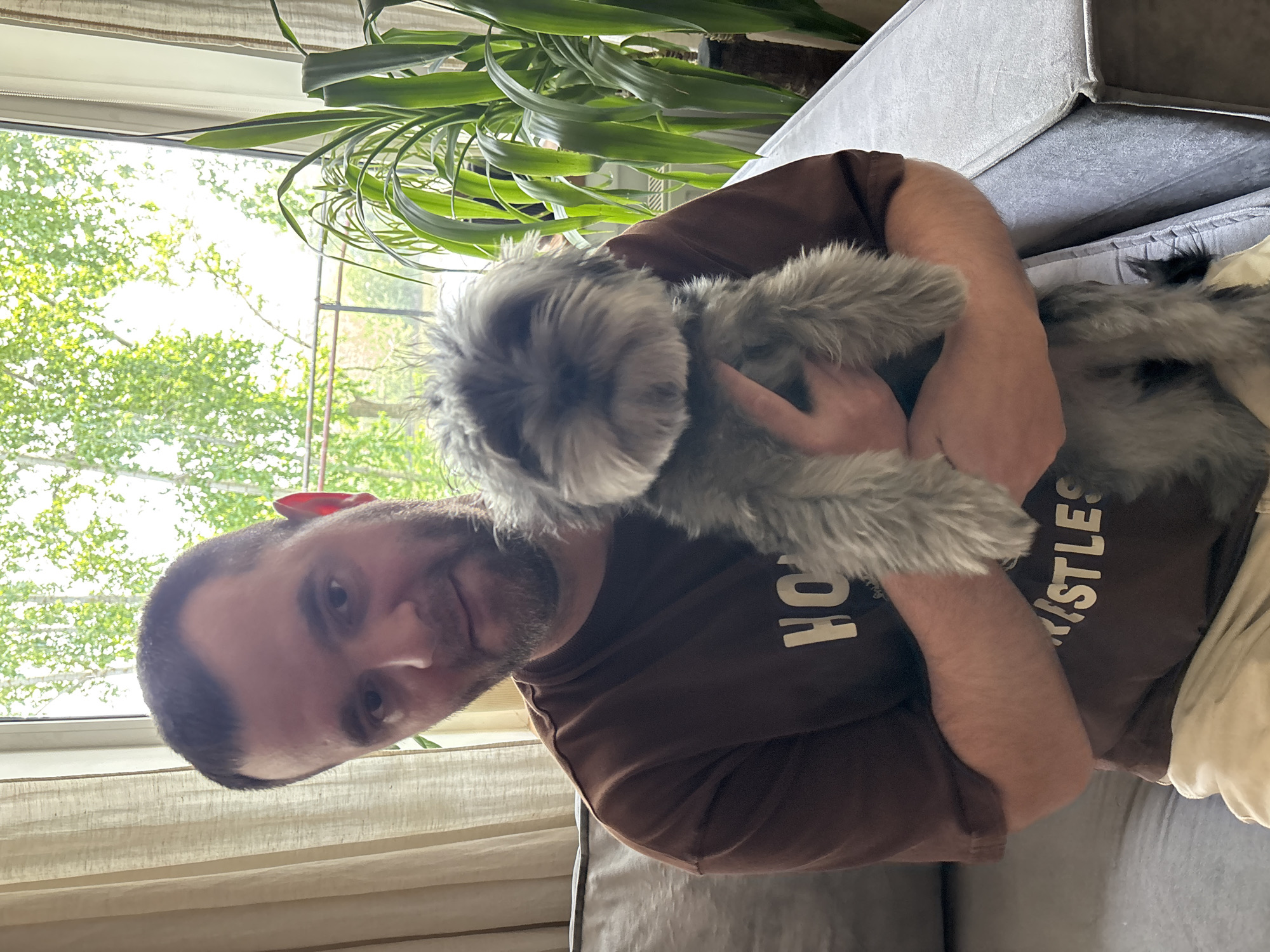 A man is holding a grey fluffy dog in his arms indoors. The man is fair-skinned with a beard and is wearing a brown t-shirt. A plant is behind him, and the window shows trees with green leaves. The specific location in the city of Chaikovsky, Russia cannot be determined from the image.