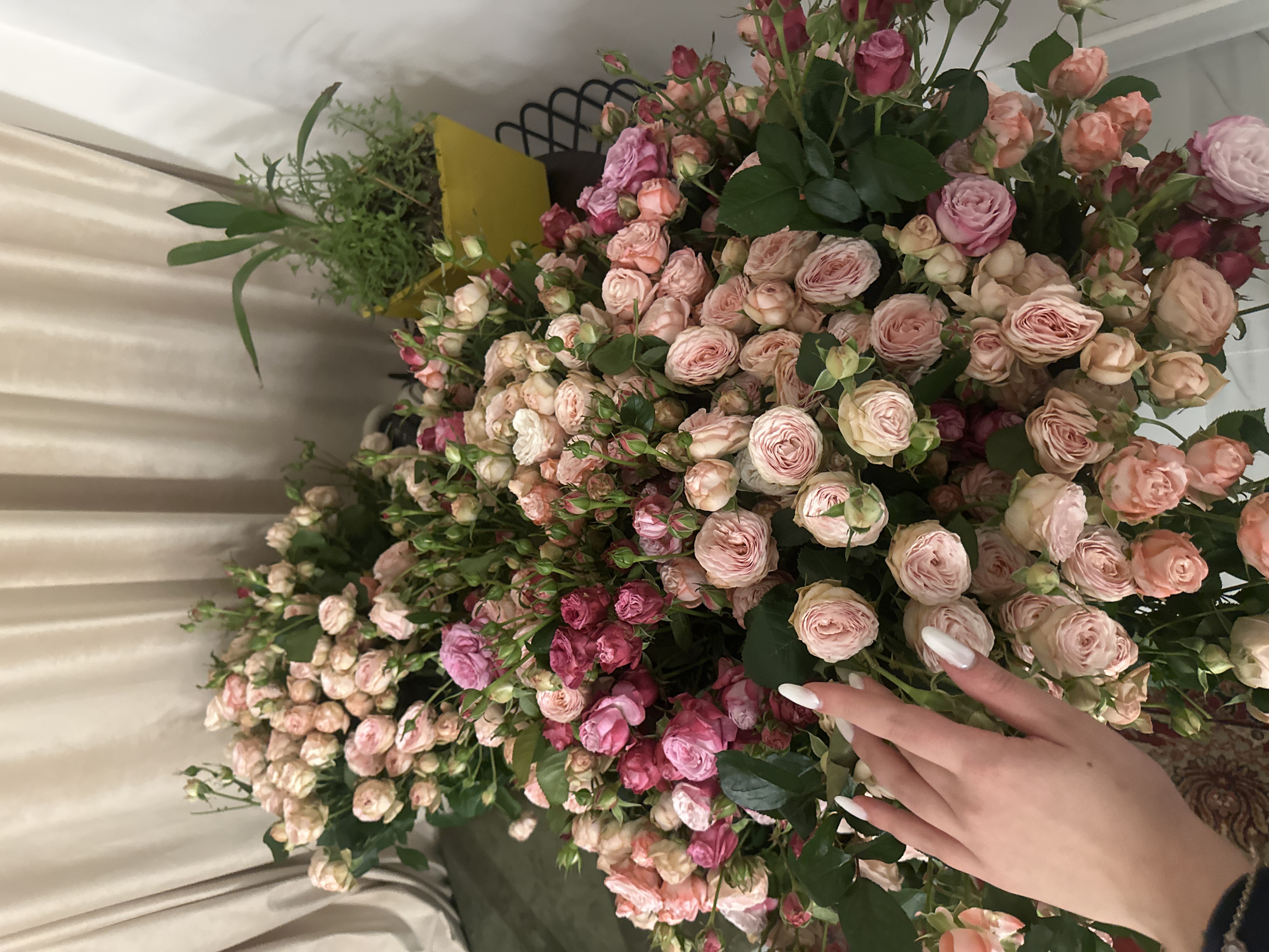 The image displays a rich and abundant arrangement of roses, dominated by shades of pink, cream, and blush. The flowers are small, likely spray roses or similar cluster-flowered varieties, and are densely packed together, creating a lush visual texture.
The rose colors vary, ranging from very pale, almost white cream to soft peach, delicate light pinks, deeper rose tones, and occasional vibrant fuchsia or burgundy hues. Many of the roses are partially open, revealing their intricate petal spirals, while numerous tightly closed buds are also visible, suggesting a mix of maturity within the bouquet. Dark green leaves are interspersed throughout the blooms, providing a verdant contrast to the soft floral palette.
On the right side of the image, a slender hand with fair skin is gently placed among the roses. The fingers are long, and the nails are manicured with a long, oval or almond shape and a shiny white or pearlescent polish. The hand appears to be lightly touching or interacting with the flowers.
The background elements are somewhat soft-focused but discernible. To the left, there are light-colored, possibly beige or cream, curtains or drapes with gentle vertical folds, providing a muted backdrop. In the upper left area, behind some of the flowers, additional green foliage is visible, along with a small, rectangular yellow object and a black, decorative metal piece that resembles a lattice or grate. A small section of a patterned fabric, possibly a rug or cushion with intricate designs in red and cream, can be seen in the lower right corner, peeking out from behind the flowers.
The lighting appears soft and diffused, characteristic of an indoor setting, and highlights the delicate textures of the petals. The overall impression is one of natural beauty, tenderness, and abundance.