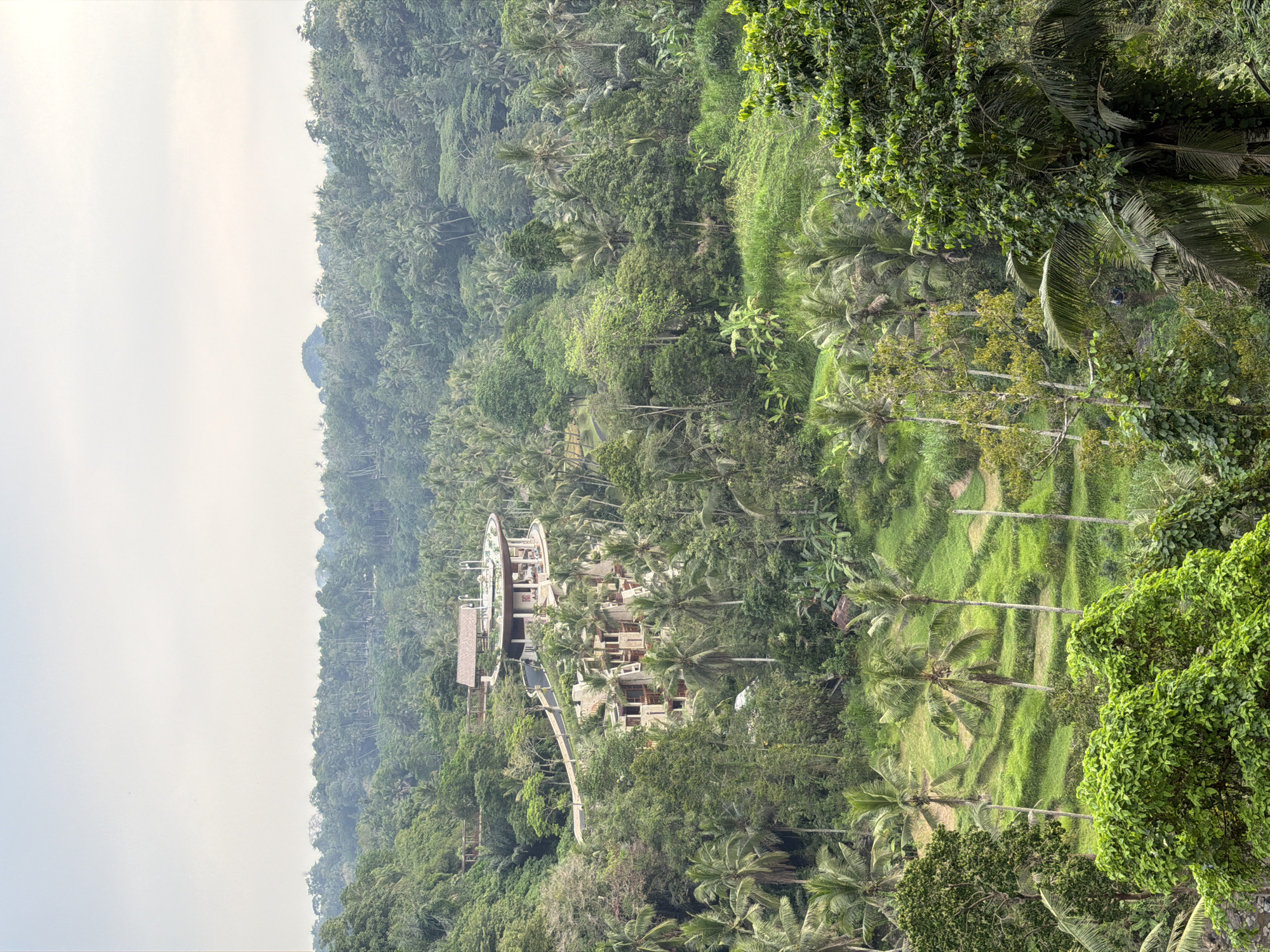 The image depicts a scenic view of the Four Seasons Resort Bali at Sayan, situated in the Sayan village of Ubud District, Indonesia. The resort's architecture, characterized by its striking curvilinear roof and multi-level buildings, is nestled amidst lush, dense tropical rainforest and vibrant green rice terraces. The foreground features an abundance of trees, including palm trees, with rich foliage. The middle ground showcases the resort complex and the meticulously sculpted rice paddies, reflecting the characteristic landscape of Ubud. The background is dominated by a dense canopy of trees extending towards a hazy sky. The scene is serene and offers a panoramic vista of the natural beauty and architectural integration.