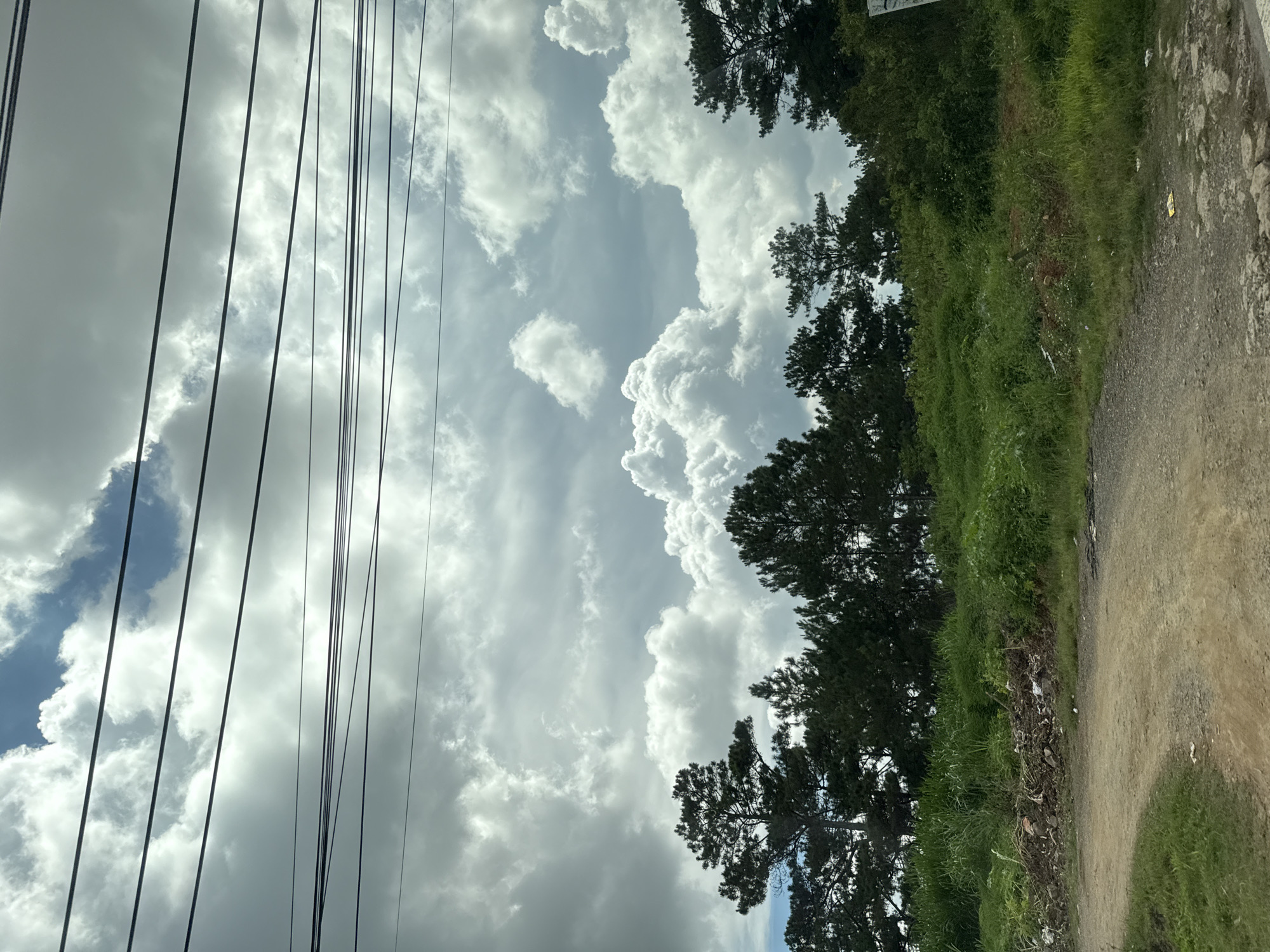 The image depicts an outdoor scene with a dirt road in the foreground. Beyond the road, a dense line of pine trees forms a backdrop against a dramatic sky filled with large, fluffy white clouds and some darker, more ominous clouds. Several power lines are strung horizontally across the upper portion of the image, obscuring parts of the sky. The ground alongside the road is covered in green grass and patches of darker soil, with some visible debris, including what appears to be litter, piled up in a few areas. The overall impression is of a somewhat undeveloped or rural area, possibly on the outskirts of a city like Thôn 6, Vietnam, given the presence of power lines and the natural landscape. There are no people visible in the image.