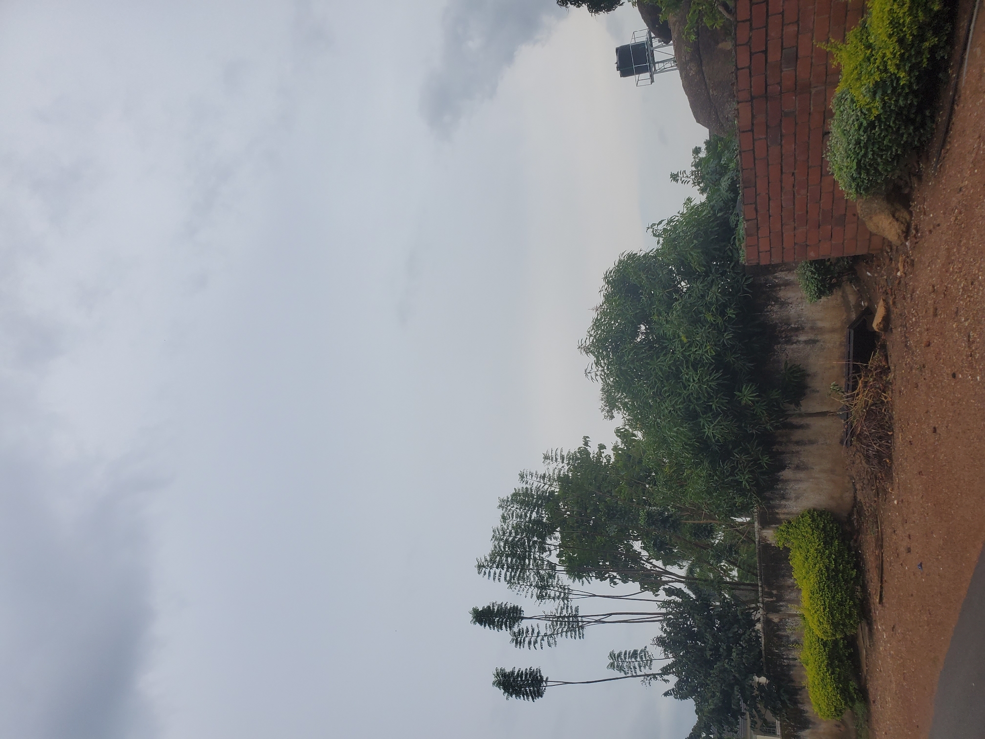 The image depicts a cloudy sky over a residential area in Jos, Nigeria. In the foreground, a dirt road leads towards a low, roughly constructed brick wall. To the left of the wall, there are two neatly trimmed green bushes. Behind the wall, dense foliage of trees and shrubs forms a backdrop, with some of the trees having distinctive tall, slender trunks and feathery leaves. A weathered concrete wall with moss or algae growth is visible further to the left, with a portion of a white building peeking out from behind the trees. To the right of the brick wall, a large rock formation is present, topped with a dark cylindrical water tank on a metal stand. Scattered debris, including dried branches, lies on the ground in front of the concrete wall. The overall scene suggests a slightly overgrown or unkempt semi-urban environment under an overcast sky.