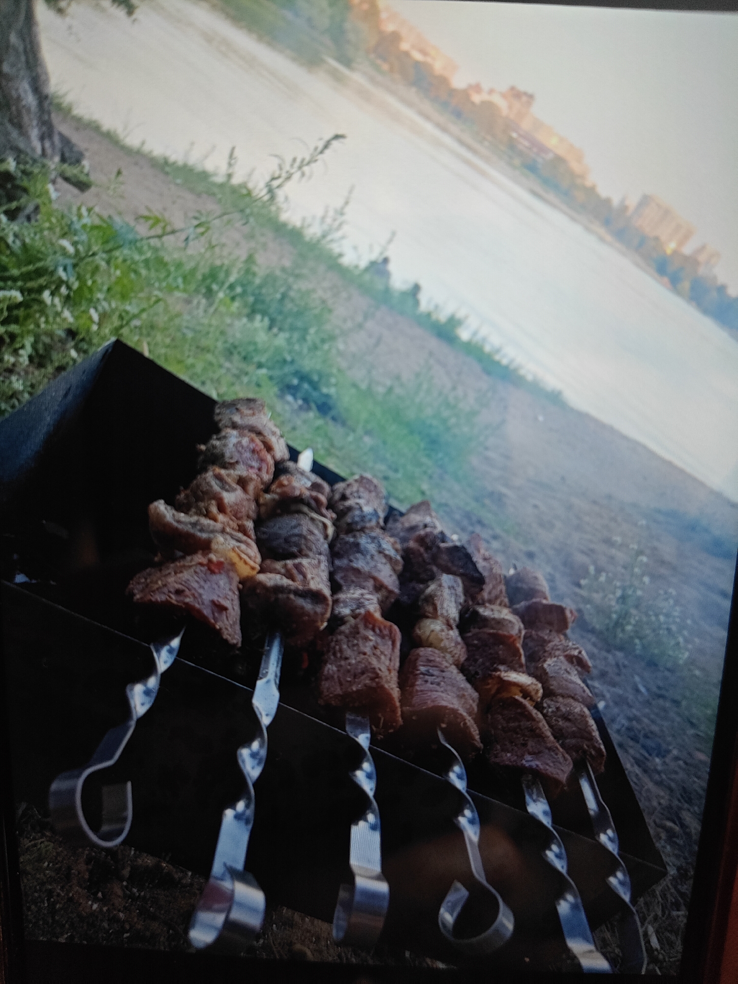 The image shows several skewers of raw meat cooking on a barbecue grill. The grill is positioned outdoors, with a body of water and a cityscape visible in the background. The water appears to be a river or a lake, and the cityscape consists of buildings that suggest an urban environment. The vegetation around the grill indicates a natural setting, possibly a park or a riverbank. There is a slight tilt to the image, suggesting it was taken at an angle. The lighting suggests it is daytime, possibly late afternoon or early evening due to the warm tones in the sky and on the buildings. The smoke rising from the grill indicates the cooking process is underway. There are no people visible in the image.