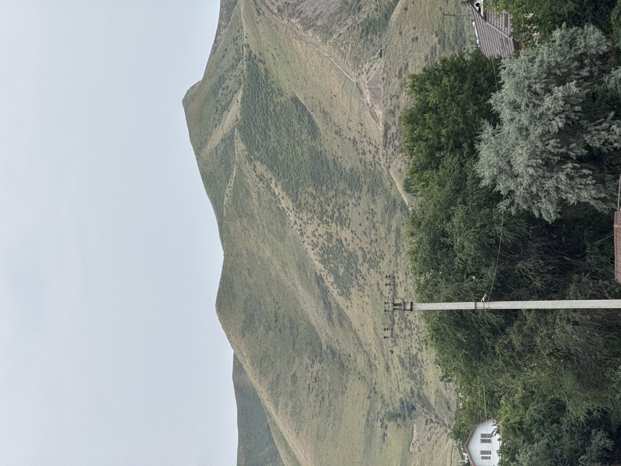 An outdoor, slightly overcast shot captures a view of rolling, green hills rising behind a line of trees in the foreground. A concrete utility pole stands prominently in the middle ground, with what appear to be birds perched on its crossbars. To the left, a white house with a dark roof peeks through the trees. To the right, the corner of a brown-tiled roof is visible, also partially obscured by foliage. A faint, winding path is discernible on the side of the nearest hill, and a small, dark object, possibly a vehicle or animal, is present on the hillside further back.