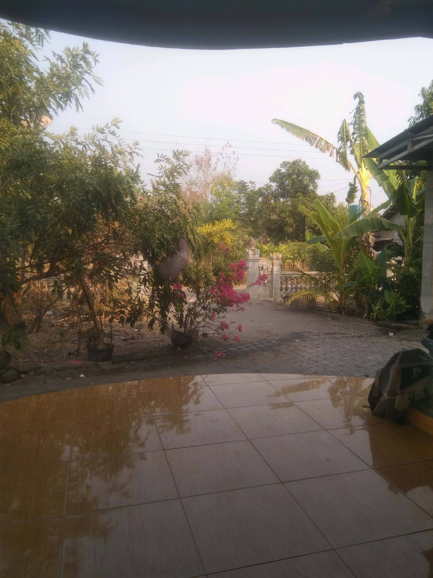 The image depicts a view of a yard in Weru, Indonesia. In the foreground, a tiled floor reflects the overhead sky and surrounding trees. The middle ground shows a paved pathway leading towards a decorative stone gate. To the left of the pathway, lush green trees and a bush with bright pink flowers are visible. To the right, several banana trees and a building with a roof are present. The sky is bright and hazy, suggesting it might be daytime. There are no people visible in the image. The overall scene appears to be a residential outdoor area.
