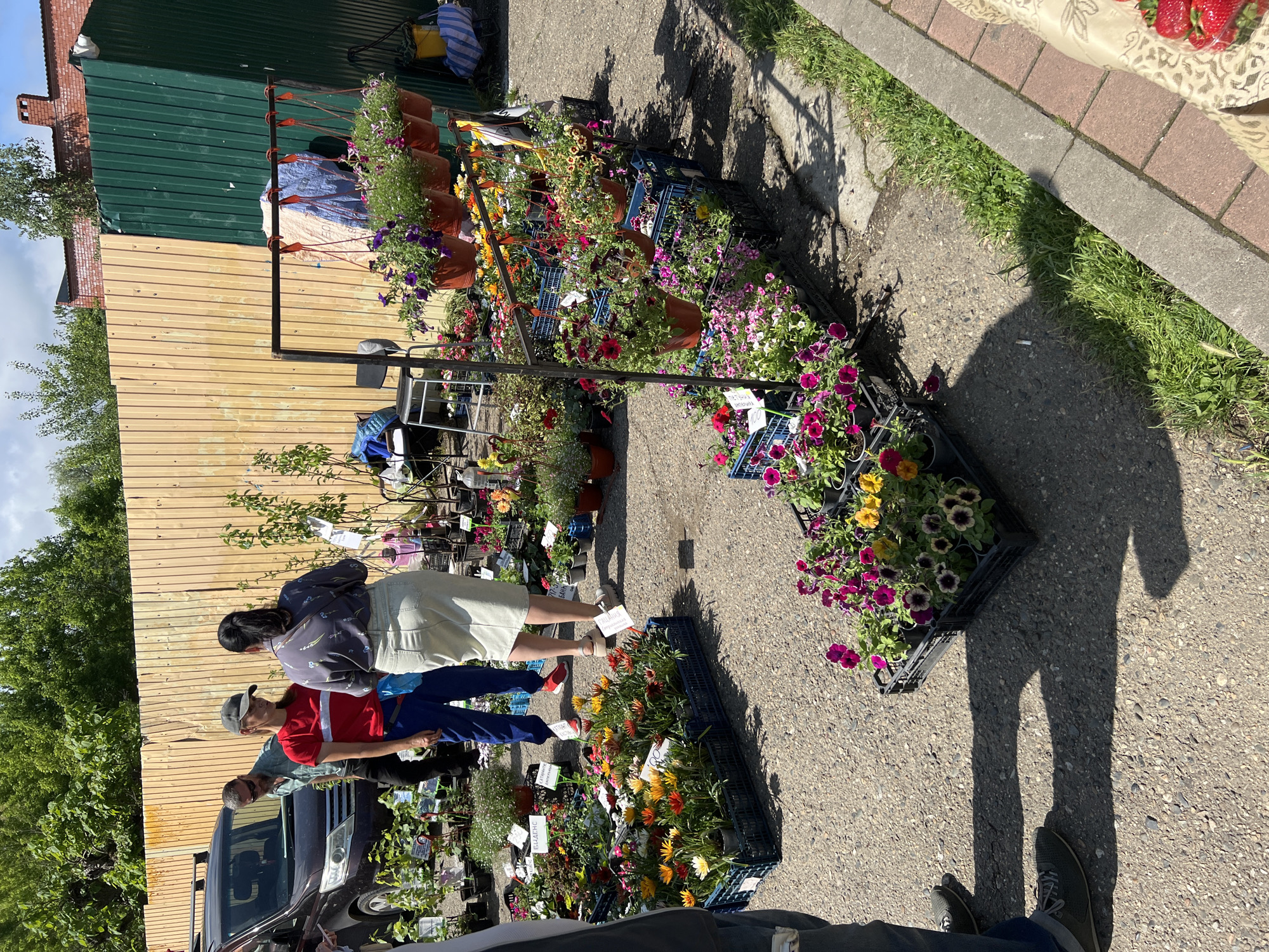 The image shows a street-side flower market in Goryachiy Klyuch, Russia. The market is located on a paved area, possibly a sidewalk, alongside a green and yellow corrugated metal building. Various potted flowers and plants are arranged in black plastic crates and on a metal display rack. Several people are present, appearing to be customers examining the flowers. A dark-colored vehicle is parked nearby. The weather appears to be sunny, as indicated by the shadows cast. A patch of grass and some trees are visible in the background.