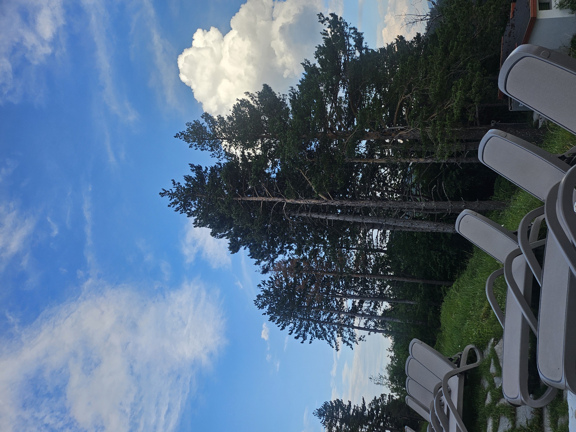 The image depicts a scenic view from an outdoor seating area, likely a resort or a residential property, in Dobrostan, Bulgaria. In the foreground, several light-colored lounge chairs are arranged on a grassy slope. The chairs are empty and appear to be made of a durable, weather-resistant material. Behind the chairs, a dense forest of tall pine trees dominates the landscape, with their dark green needles starkly contrasted against the bright blue sky. The sky is filled with a mix of wispy cirrus clouds and a large, fluffy cumulus cloud on the right side. The lighting suggests it is daytime, possibly late afternoon, with the sun illuminating the clouds and casting shadows within the trees. A small portion of a building with a dark roof is visible in the lower right corner, hinting at the presence of structures within the property. The overall impression is one of a serene and natural setting, ideal for relaxation and enjoying the outdoors.