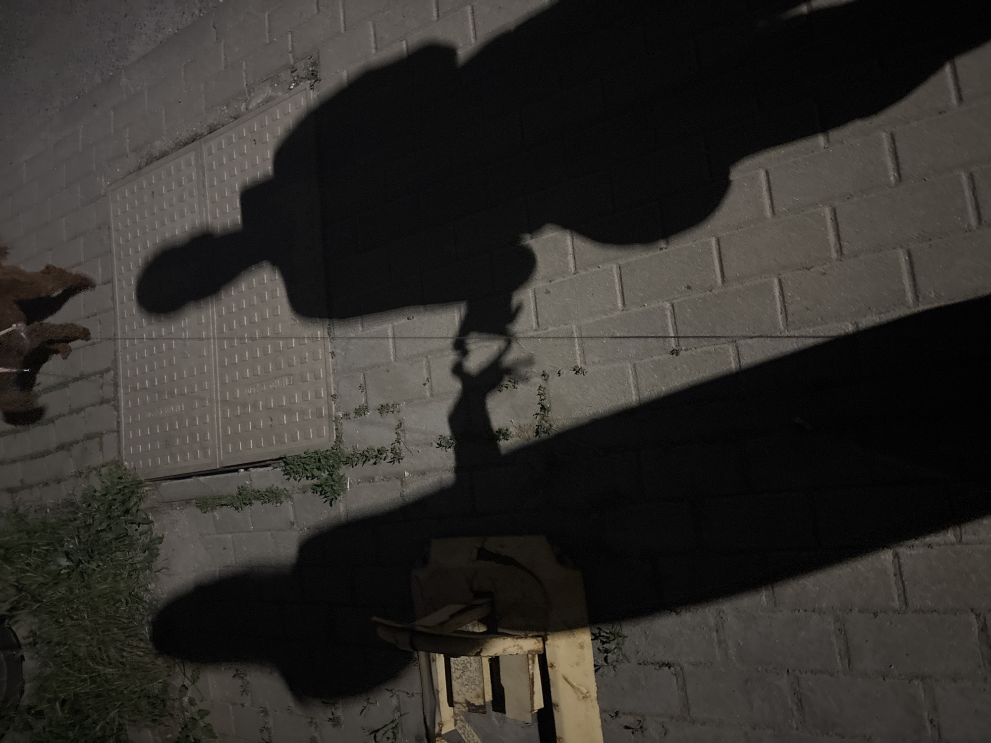 The image depicts a scene at night in an urban environment, possibly Sofia, Bulgaria. The ground is paved with grey bricks and contains a square metal access cover in the upper left. A shadow of a person holding a small object, possibly a phone, is cast onto the ground and the access cover. The shadow suggests the person is holding the object up and away from their body. A light source is likely positioned behind the person. There is some green vegetation growing around the edges of the pavement, and the shadow of what appears to be a metal structure. The metal structure consists of some sort of stand, with a horizontal platform and handle. The lighting conditions suggest it is nighttime.