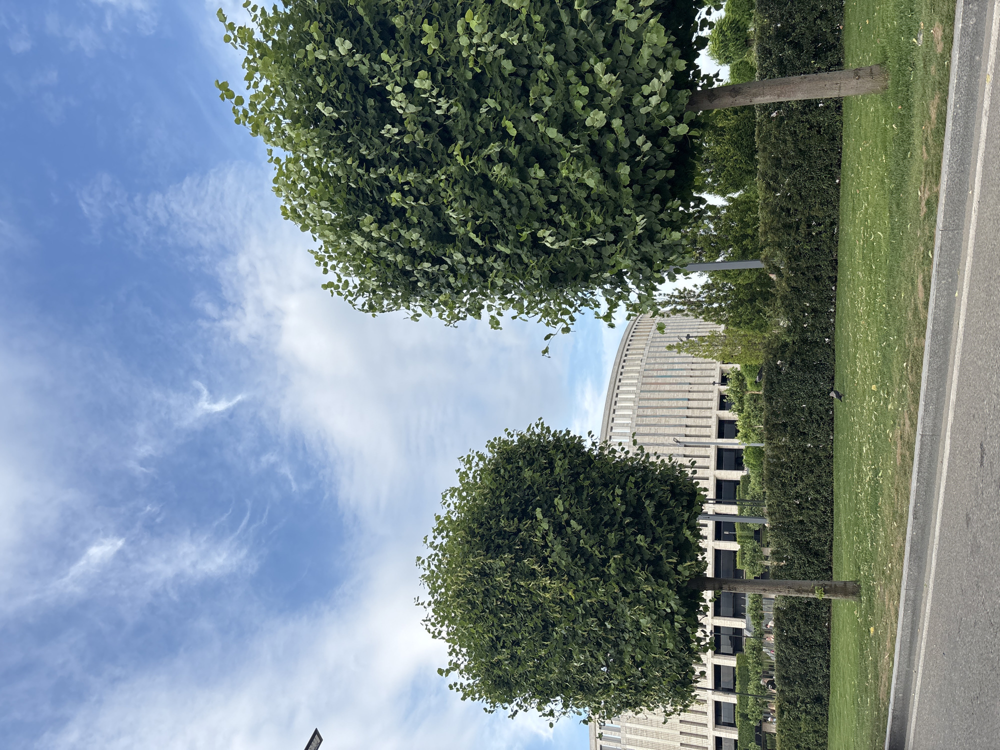 The image captures a view of the park located in front of the Krasnodar Stadium in Krasnodar, Russia. Two perfectly manicured, round trees stand in the foreground, with lush green grass and a trimmed hedge behind them. In the background, the distinctive curved facade of the stadium, characterized by its beige color and vertical window-like elements, is visible. The sky above is a vibrant blue with scattered wispy white clouds, suggesting a pleasant day. A road with a curb runs along the bottom of the frame, indicating the presence of a thoroughfare. A bird is seen on the grass between the trees. The overall scene depicts a well-maintained urban park area adjacent to a modern sports facility.