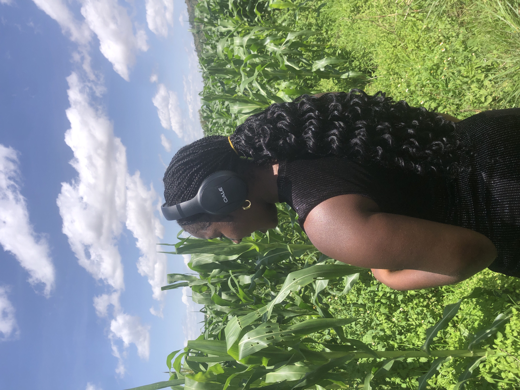 The image depicts a person wearing headphones in a cornfield under a bright, cloudy sky. The person, seen from the side and slightly from behind, has dark skin and braided black hair pulled back with a yellow tie. They are wearing a black top with a textured, possibly sparkly, pattern. A gold hoop earring is visible in their right ear. The person appears to be looking down at something, perhaps engrossed in music or a podcast.
The setting is a lush, green cornfield, with tall corn stalks dominating the mid-ground and foreground. The corn leaves show some signs of damage, with small holes in them. The ground around the corn is covered in dense green vegetation, with some small white flowers interspersed. In the background, the cornfield stretches out, and beyond that, a slightly hazy landscape is visible. The sky is a vibrant blue, with fluffy white clouds scattered across it, suggesting it is daytime, likely late morning or afternoon, with fair weather.
The image appears to be taken outdoors in a rural area, possibly Gwafan, Nigeria, given the context. The overall mood is peaceful and natural, with the person seemingly enjoying a moment of solitude and immersion in their surroundings and audio content. There is some text visible on the headphones, which appears to be a logo, possibly reading "DALE" or a similar word.
