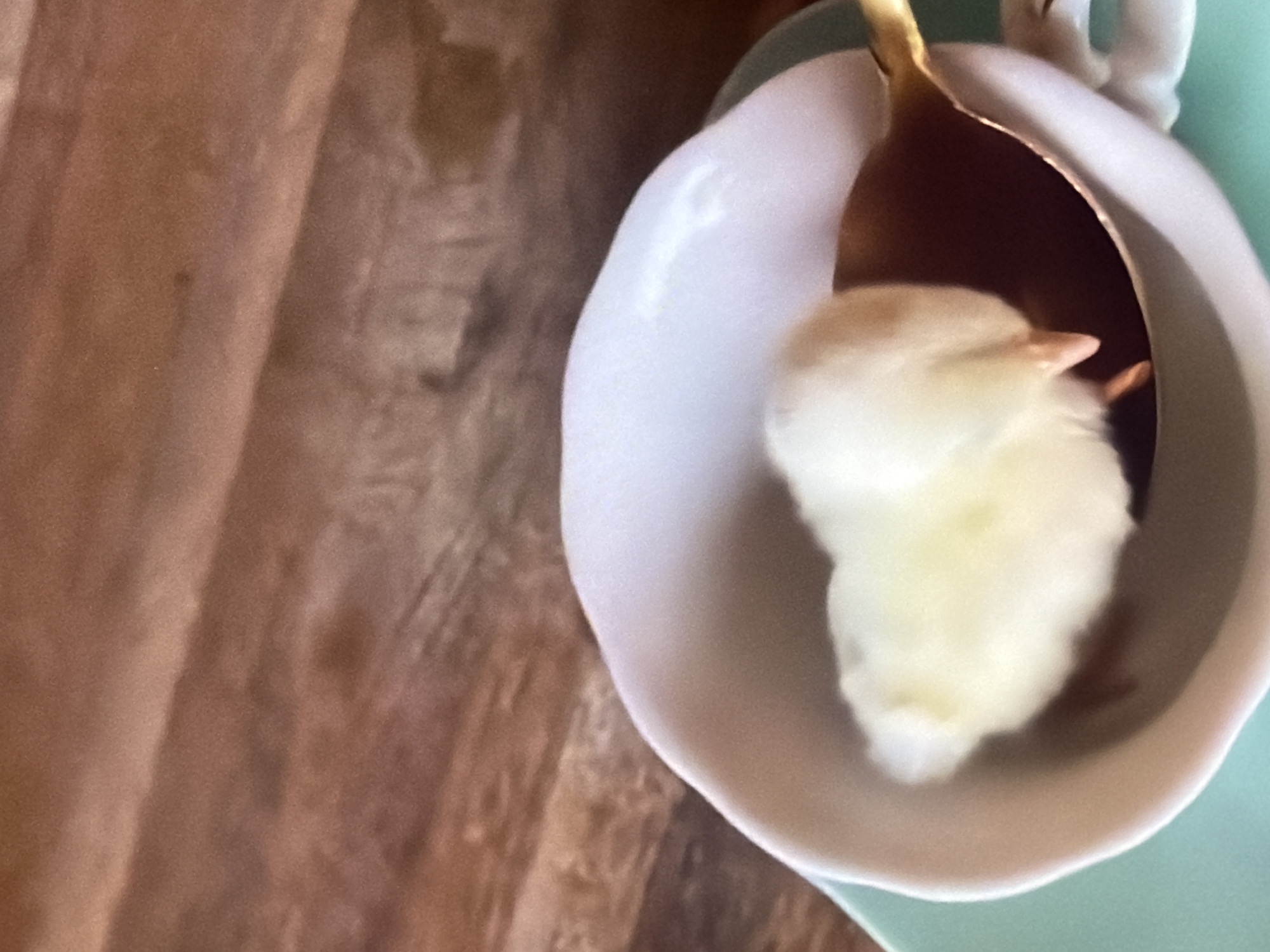 In Bukuru, Nigeria, a fluffy yellow chick is nestled in a white teacup, partially submerged in a dark liquid, possibly coffee or tea. The chick's beak is visible, and its body is mostly covered in down. The teacup rests on a pale green saucer. The background is a blurred wooden surface.