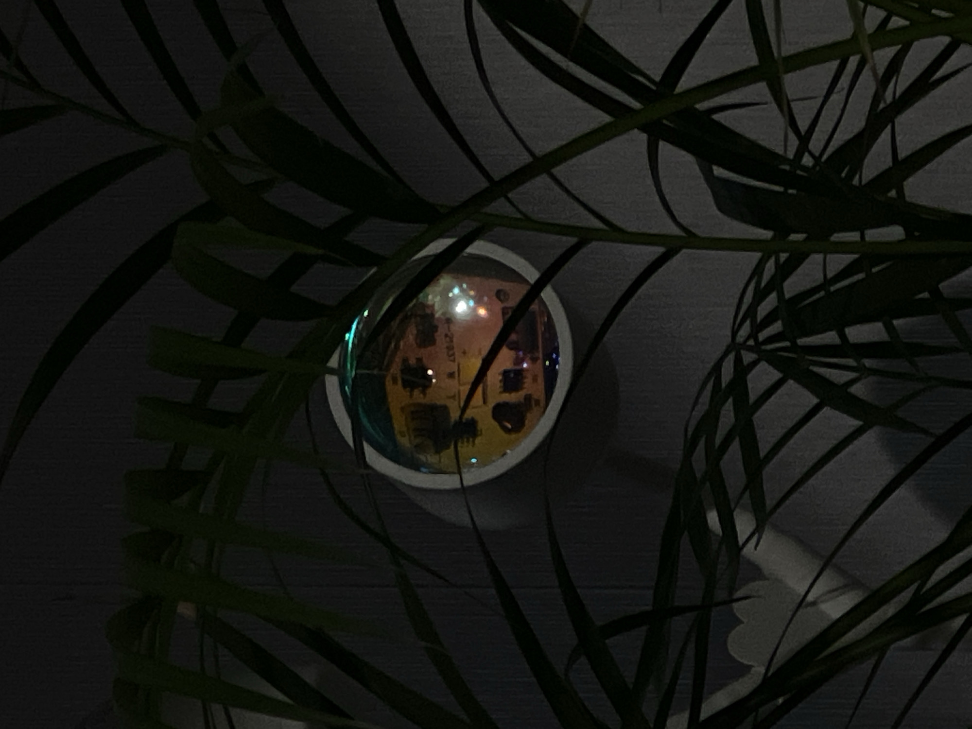 The image displays a dimly lit indoor scene dominated by the dark green fronds of a large plant, likely a palm, partially obscuring the view. Centered in the mid-ground, a white-framed circular reflective object, consistent with a convex security mirror, is mounted on a dark grey, textured wall. The mirror's surface reflects a vibrant, distorted urban night scene characterized by numerous bright, multi-colored artificial lights (orange, yellow, blue, green, white). A distinct white alphanumeric string, "M-27037," is clearly legible within the reflection. Based on this alphanumeric identifier, which corresponds to Moscow Metro train car numbering, the location is within or overlooking a Moscow Metro station or platform in Moscow, Russia. No individuals are visible in the foreground or the reflection.