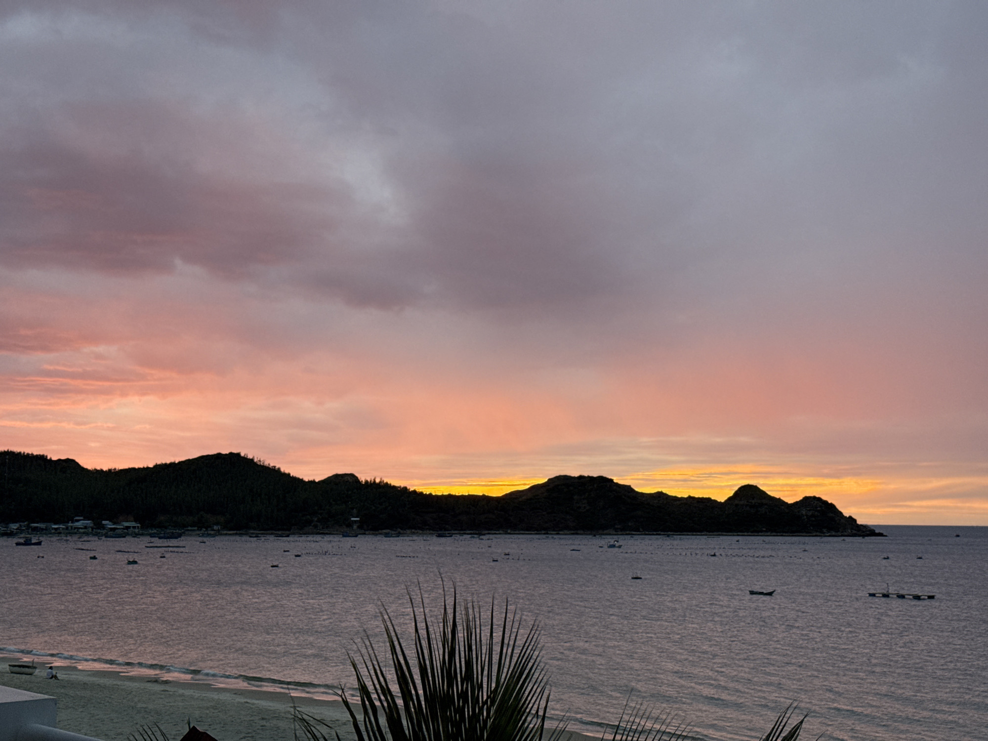 The image captures a serene sunset over the ocean in Song Cau, Vietnam. The sky is a vibrant canvas of pink, orange, and purple hues, with soft clouds drifting across the expanse. A silhouette of a tree-covered mountain range forms a dark line against the colorful horizon, with scattered lights suggesting a small settlement along the coast. The calm sea reflects the sky's colors, with numerous small boats dotting the water, some appearing to be fishing vessels. In the foreground, a sandy beach meets the gentle waves, and a few palm fronds add a touch of tropical foliage to the scene. A solitary figure can be seen sitting on the beach, contemplating the picturesque view. The overall atmosphere is peaceful and tranquil, characteristic of a coastal town at dusk.