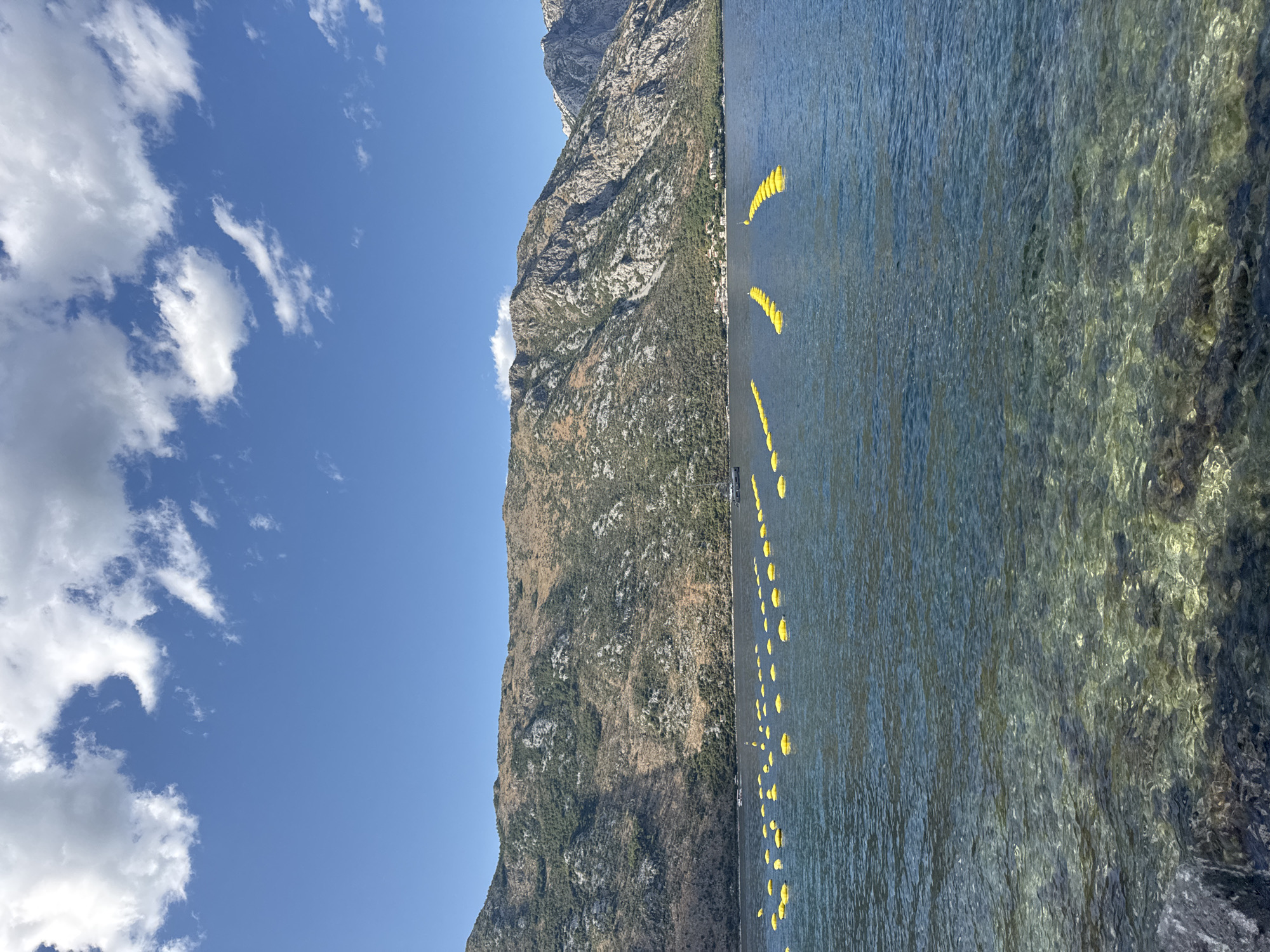 The image depicts a scenic view of the Bay of Kotor near Prčanj, Montenegro. In the foreground, clear, shallow water reveals the rocky seabed. The midground is dominated by a calm, deep blue body of water, likely the bay itself, dotted with numerous bright yellow buoys arranged in distinct lines, suggesting a form of aquaculture or navigation markers. In the background, a steep, rugged mountain range rises, its slopes covered with sparse vegetation and rocky outcrops. The sky above is a vibrant blue, with scattered white cumulus clouds drifting lazily. The overall scene is tranquil and natural, with human intervention evident in the organized arrangement of buoys.