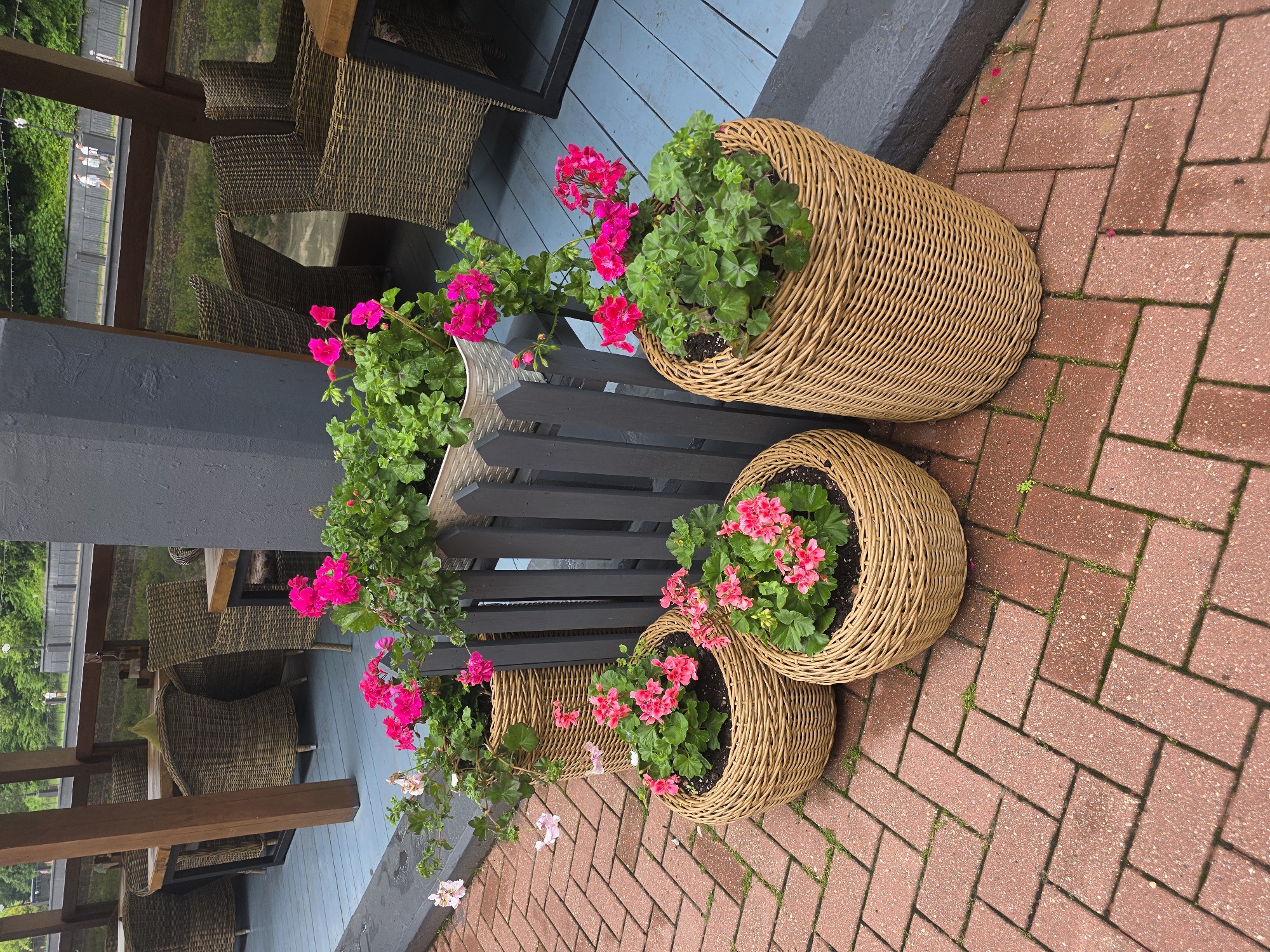 The image depicts an outdoor seating area of a cafe or restaurant, likely located in Estosadok, Russia. The foreground is dominated by a herringbone pattern of red brick paving stones, with a few blades of grass growing between them. Four woven wicker planters are arranged on the left side of the scene. Three of these planters are round and lower to the ground, while one on the right is taller and cylindrical. All planters contain bright pink geraniums with green foliage. Behind the planters, a grey wooden fence separates the seating area from a raised wooden deck. On the deck, several tables and chairs made of dark woven wicker are visible. Beyond the deck, through a transparent barrier, a body of water with some ripples is visible, bordered by a pathway where three individuals are walking. The background shows a lush green embankment with trees and foliage. The overall atmosphere suggests a peaceful, natural setting conducive to outdoor dining.