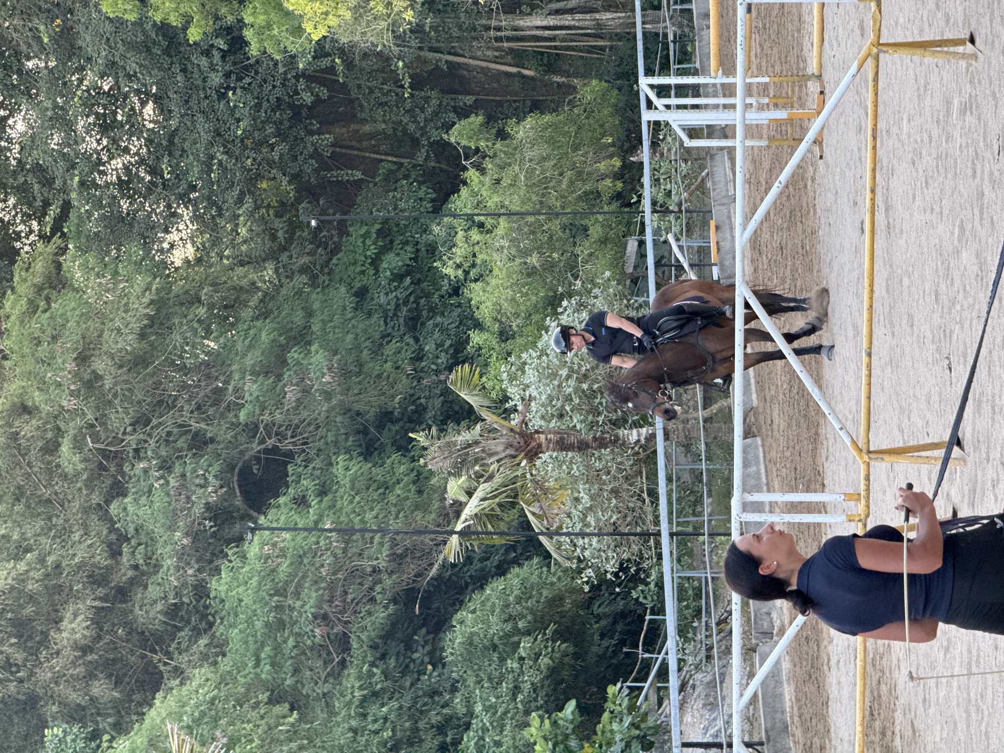 The image depicts an outdoor equestrian arena in Kuta Selatan, Indonesia, under diffused natural light. In the foreground, positioned to the lower left, an adult female with dark hair tied back is observed from the right side. She wears a black short-sleeved polo shirt and dark trousers, holding a long whip or lunge line in her right hand while looking towards the right. Various white and yellow metal barriers, some appearing worn, delineate the sandy arena floor.
Towards the midground and slightly to the upper right, an adult male rider is mounted on a brown horse. The rider wears a black helmet, a black short-sleeved polo shirt, dark breeches, and riding boots. The horse, equipped with a bridle and saddle, displays a white blaze on its forehead and is in motion, kicking up sand. Behind the rider and horse, additional arena elements including vertical poles and horizontal rails are visible, potentially serving as jumping obstacles or markers.
The background is dominated by a dense, lush canopy of tropical vegetation, including various broadleaf trees and a prominent palm tree with some dry fronds. Several tall, dark poles topped with light fixtures are interspersed among the trees and within the arena perimeter, suggesting potential for nighttime operation. The overall scene indicates an equestrian training or practice session.