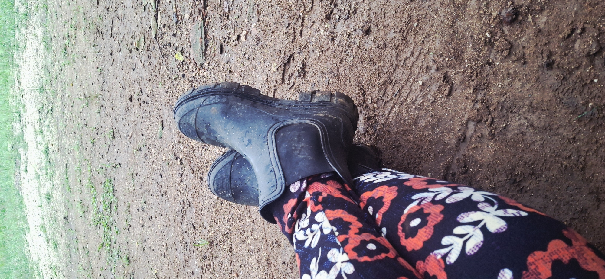 The image presents a downward view of a person's lower legs and feet, situated outdoors on muddy ground. The person is wearing short, black rubber boots that are visibly soiled with mud, suggesting recent activity in wet conditions. Their legs are clad in dark-colored leggings or pants featuring a vibrant floral or abstract pattern in red/orange and white.
The setting is an unpaved area, likely a path or open ground, characterized by damp, reddish-brown soil mixed with small pebbles and debris. Patches of green grass are visible along the left edge of the frame, indicating a natural or rural environment. The muddy state of the ground suggests recent rainfall or general dampness.
The activity taking place appears to be an outdoor excursion or work in wet and possibly rugged terrain. The robust footwear is suitable for such conditions. The location context is Vallecito, Venezuela. The time of day is not explicitly clear, but natural lighting suggests it is daytime. There is no visible text in the image, and no specific emotions are discernible from the partial view of the person.
