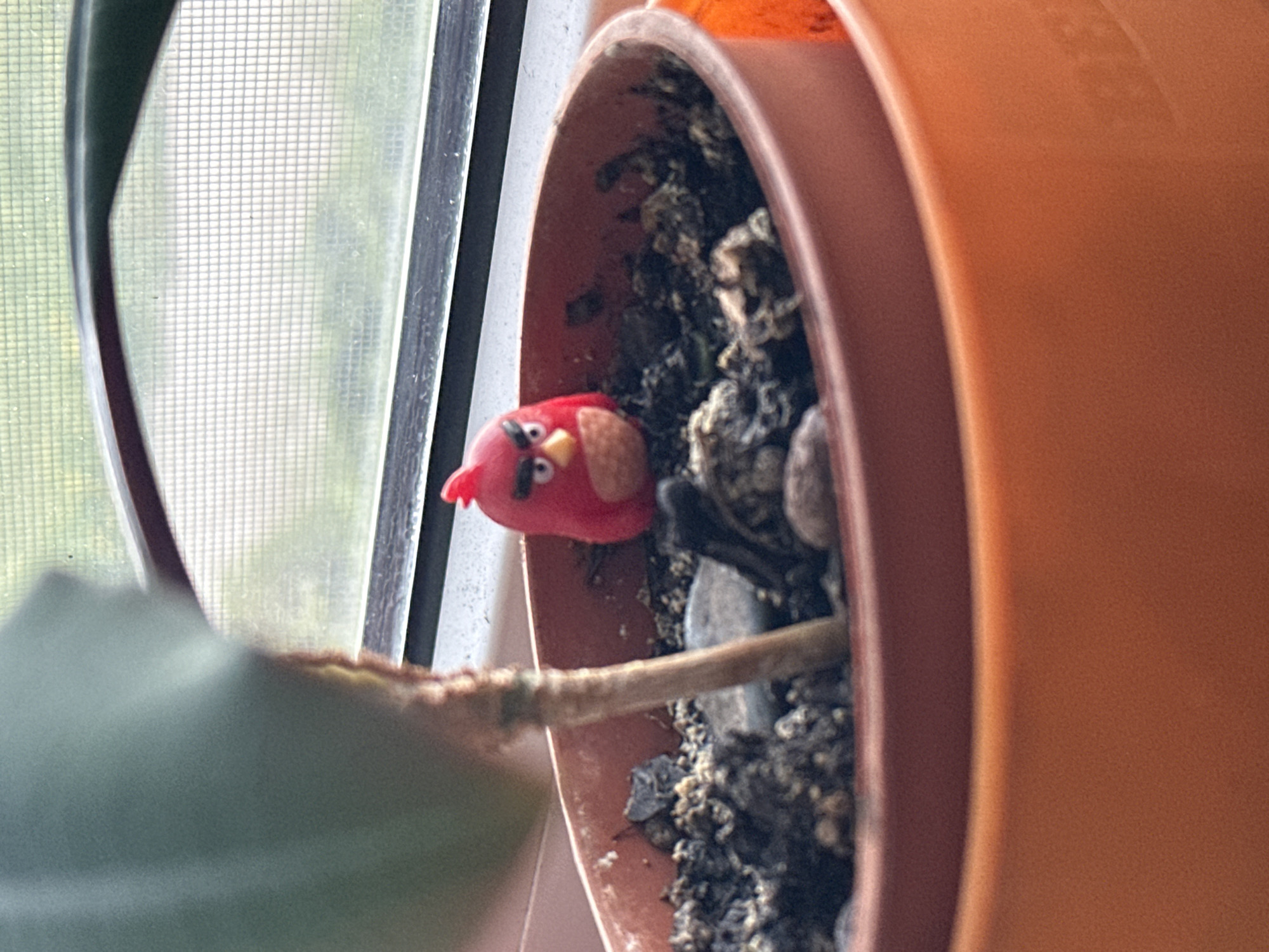 The image shows a small, red Angry Birds toy figure placed in a terra cotta pot filled with soil and small stones. A plant stem extends upwards from the soil, partially obscuring the toy. The pot is situated on a windowsill, with a window screen and greenery visible in the background. The setting appears to be an indoor environment in the city of Hora, Ukraine.