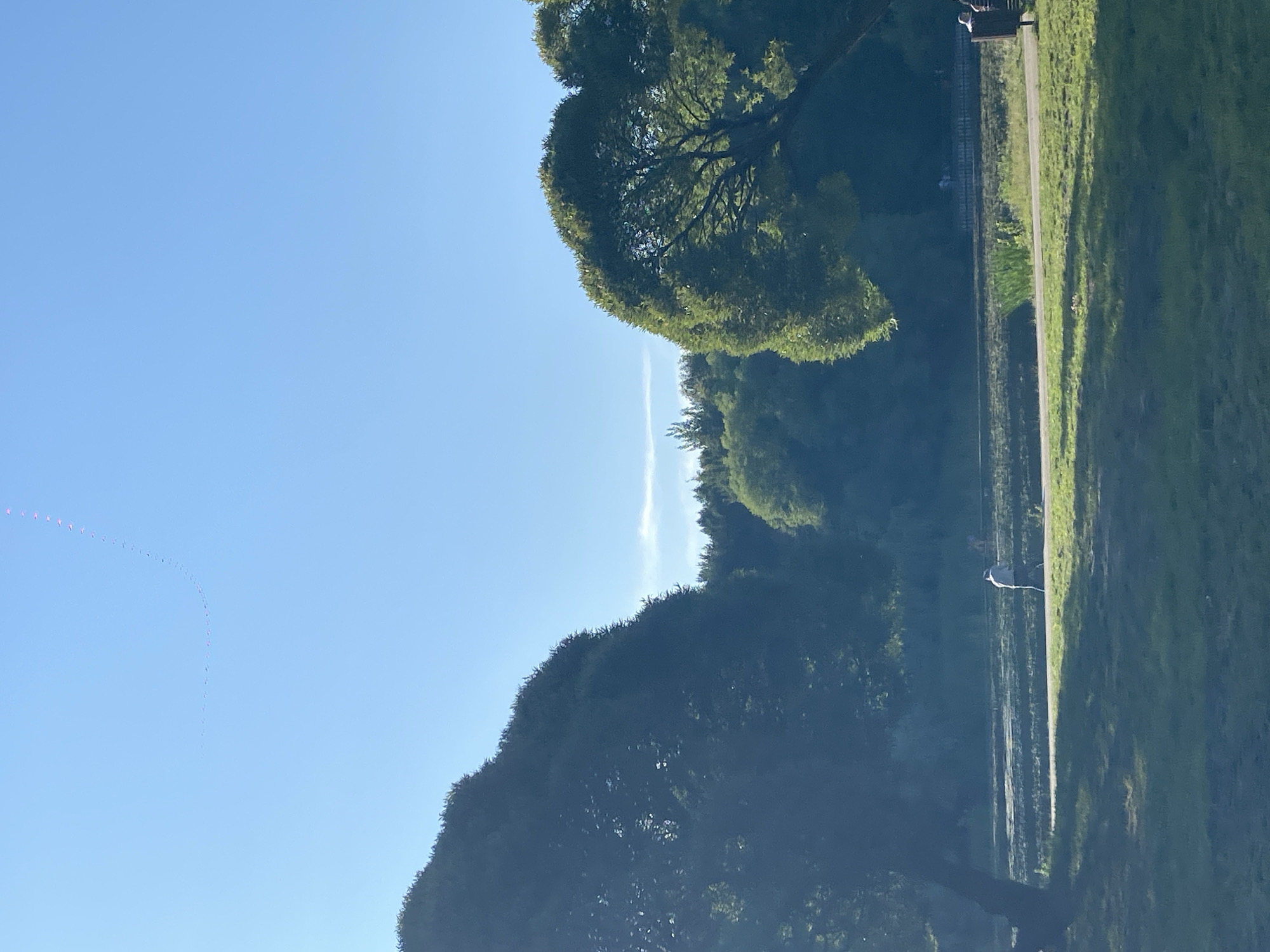 This is a vertical, eye-level, medium-distance shot of a park with a body of water. In the foreground, on the left, is a large, dark green tree. To the right, a smaller tree with bright green leaves is visible. A paved path runs horizontally across the middle ground, bordered by grass. A single person wearing a light-colored shirt and dark pants is walking on the path. A body of water is visible behind the path, with a dense line of dark green trees forming the background. In the sky, a string of small, red lights is ascending in a curve. The scene appears to be at a park in the city of Khimki, Russia.