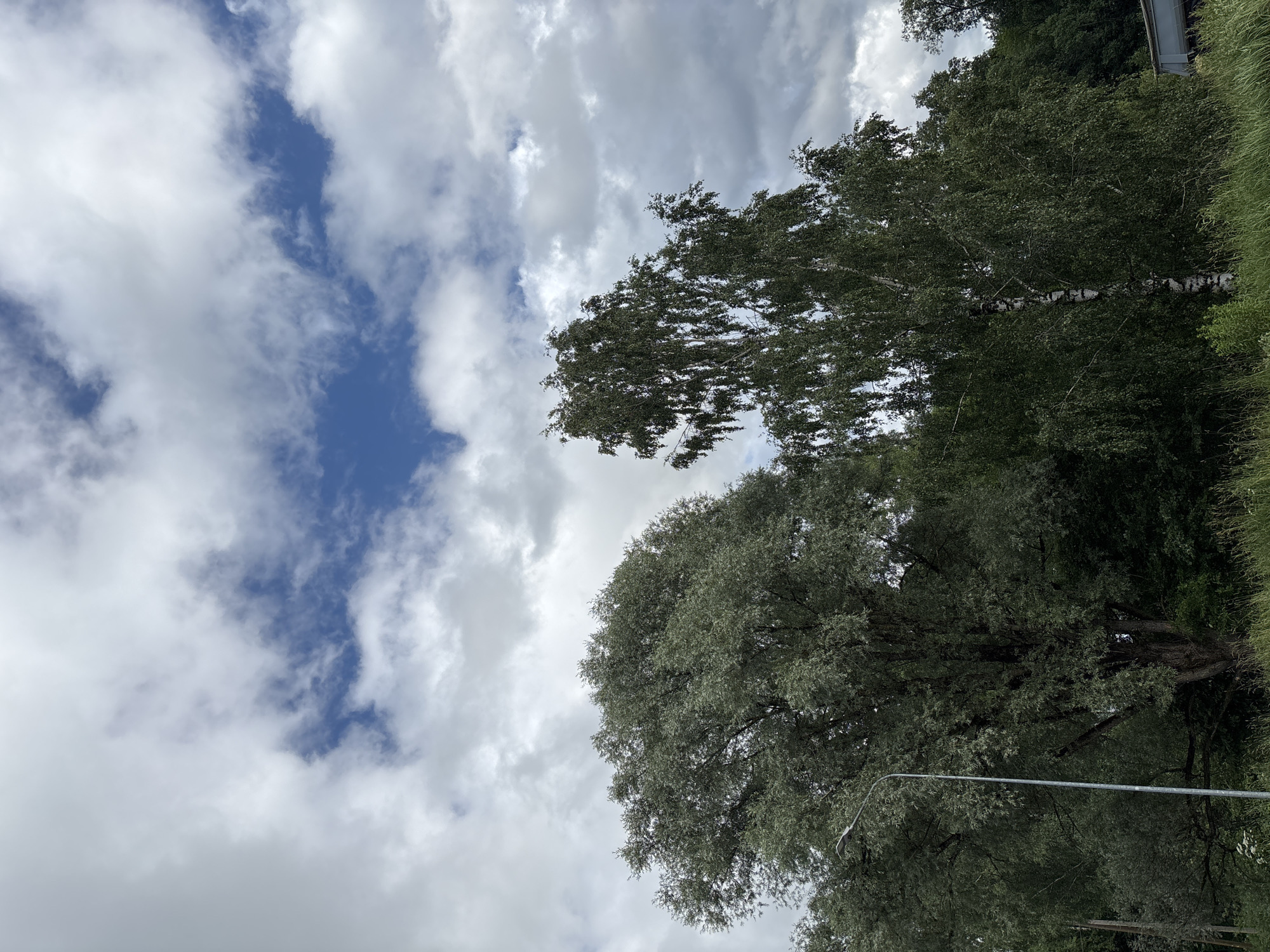 This is a photograph taken from a low angle, looking up at a cloudy sky and the tops of trees. The scene is set in Sauleskalns, Latvia. The sky is a mix of blue patches and white, fluffy clouds, suggesting it is daytime. The clouds are scattered, with some denser patches and some thinner ones, indicating a partly cloudy or variable weather condition.
Dominating the foreground and mid-ground are lush green trees, with dense foliage. A striking feature is a birch tree with its characteristic white bark, prominently visible amidst the greenery. The leaves of the trees appear healthy and full, suggesting a temperate season, likely spring or summer. In the background, on the right side of the image, a glimpse of a building structure, possibly a roof or a fence, and some tall green grass are visible. A slender metal pole, likely a street light or a signpost, cuts diagonally across the lower portion of the image.
The overall impression is one of a natural landscape on a day with changing cloud cover. There are no people or overt activities depicted; the focus is on the natural elements of the sky and the trees. The lighting suggests it is daytime, but the cloud cover may be moderating direct sunlight. No text is visible in the image.