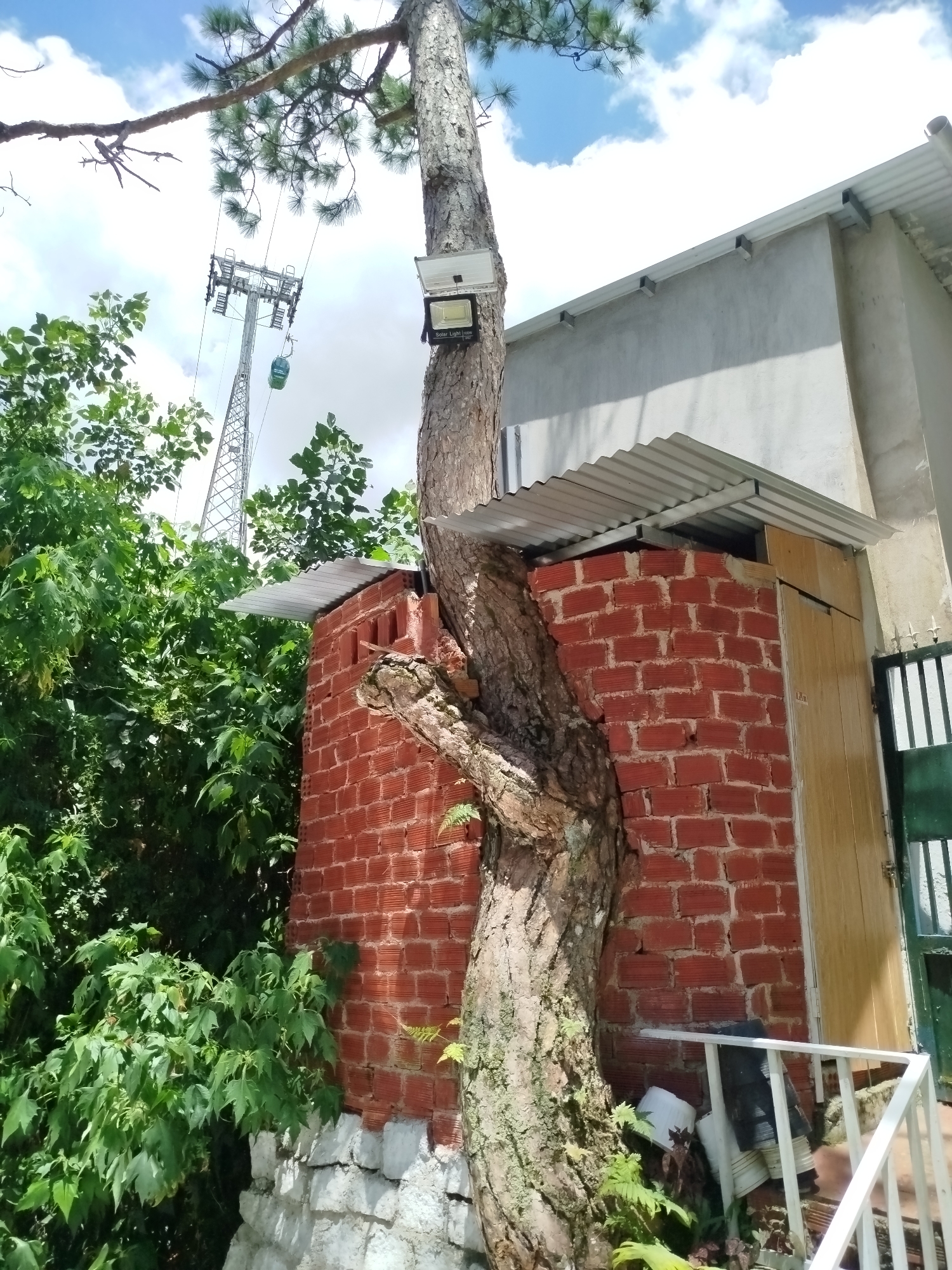 The image captures a unique scene in Da Lat, Vietnam, where a large tree trunk has grown around and integrated with a red brick structure. The tree's bark is rough and textured, with moss and lichen visible. Attached to the tree trunk is a rectangular solar-powered light fixture. The brick structure appears to be a small building or utility enclosure, topped with a corrugated metal roof. Adjacent to this structure is a larger building with a light gray concrete wall and a white metal roof. A wooden door is visible on the right side of the brick structure. In the background, a prominent cable car system is suspended from tall towers, with a green cable car cabin visible. Lush green foliage surrounds the scene, indicating a natural, possibly hilly, environment. The sky above is blue with scattered white clouds. The overall impression is one of nature and man-made structures coexisting, with the tree forming an integral part of the landscape and architecture.