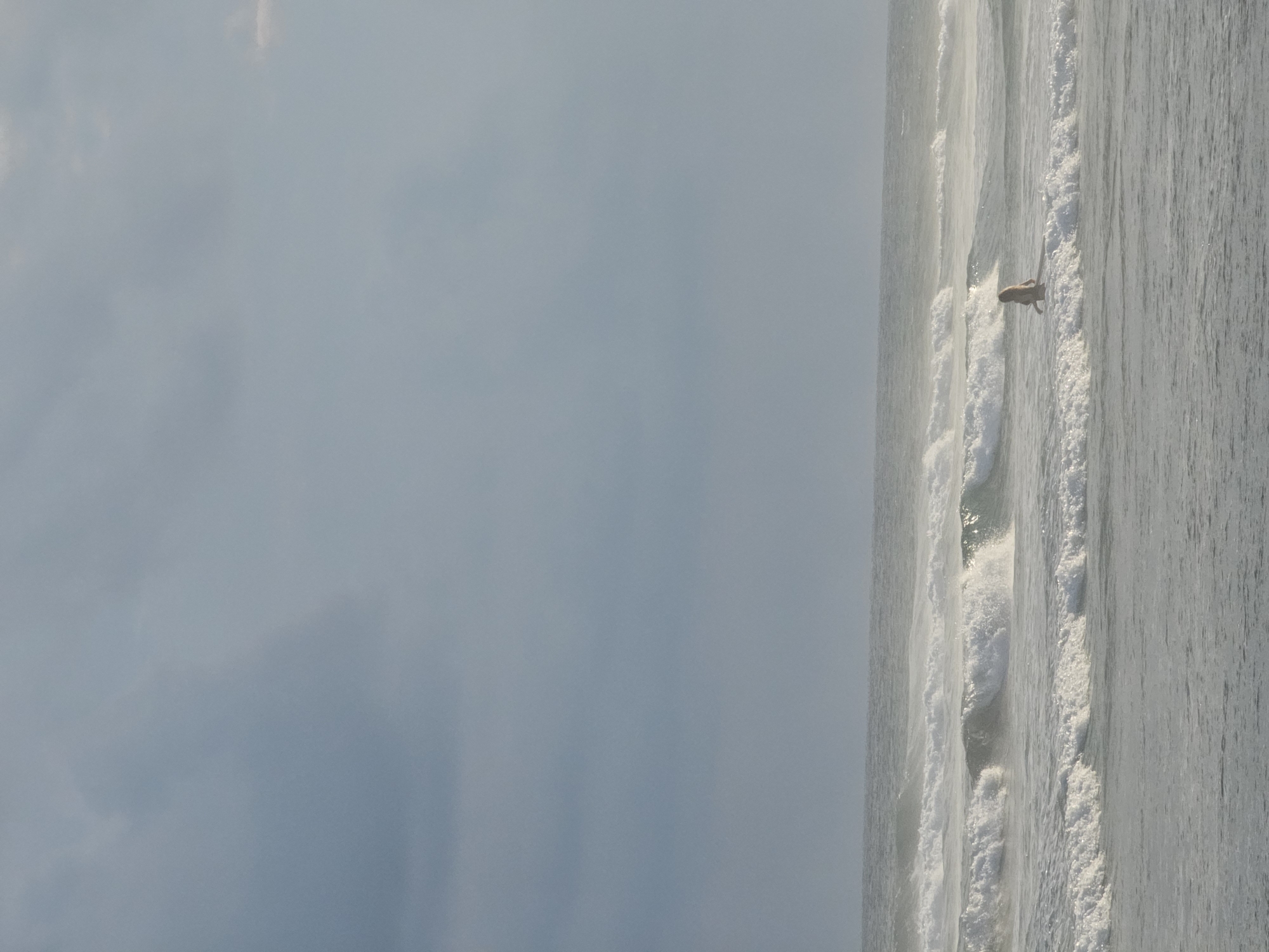 A man on a surfboard is riding a wave in the ocean off the coast of Kathaluwa, Sri Lanka. The sky is overcast.