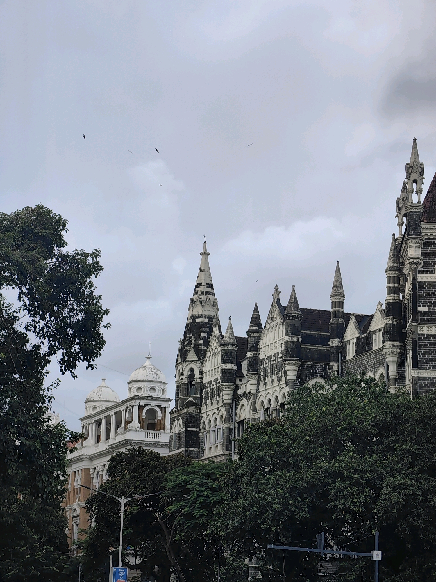 The image captures a gothic-style building in Mumbai, India, under a cloudy sky. The building features intricate stonework, pointed spires, and arched windows, indicative of Victorian Gothic architecture. To the left, a white building with domes and colonnades is partially visible, suggesting it's part of a larger complex or a distinct but adjacent structure. Lush green trees frame the lower portion of the image, obscuring some of the lower levels of the buildings and a street lamp. A few birds are seen soaring in the overcast sky. The scene appears to be an exterior view of a historical or governmental building, possibly located in a prominent area of the city given its architectural grandeur.
