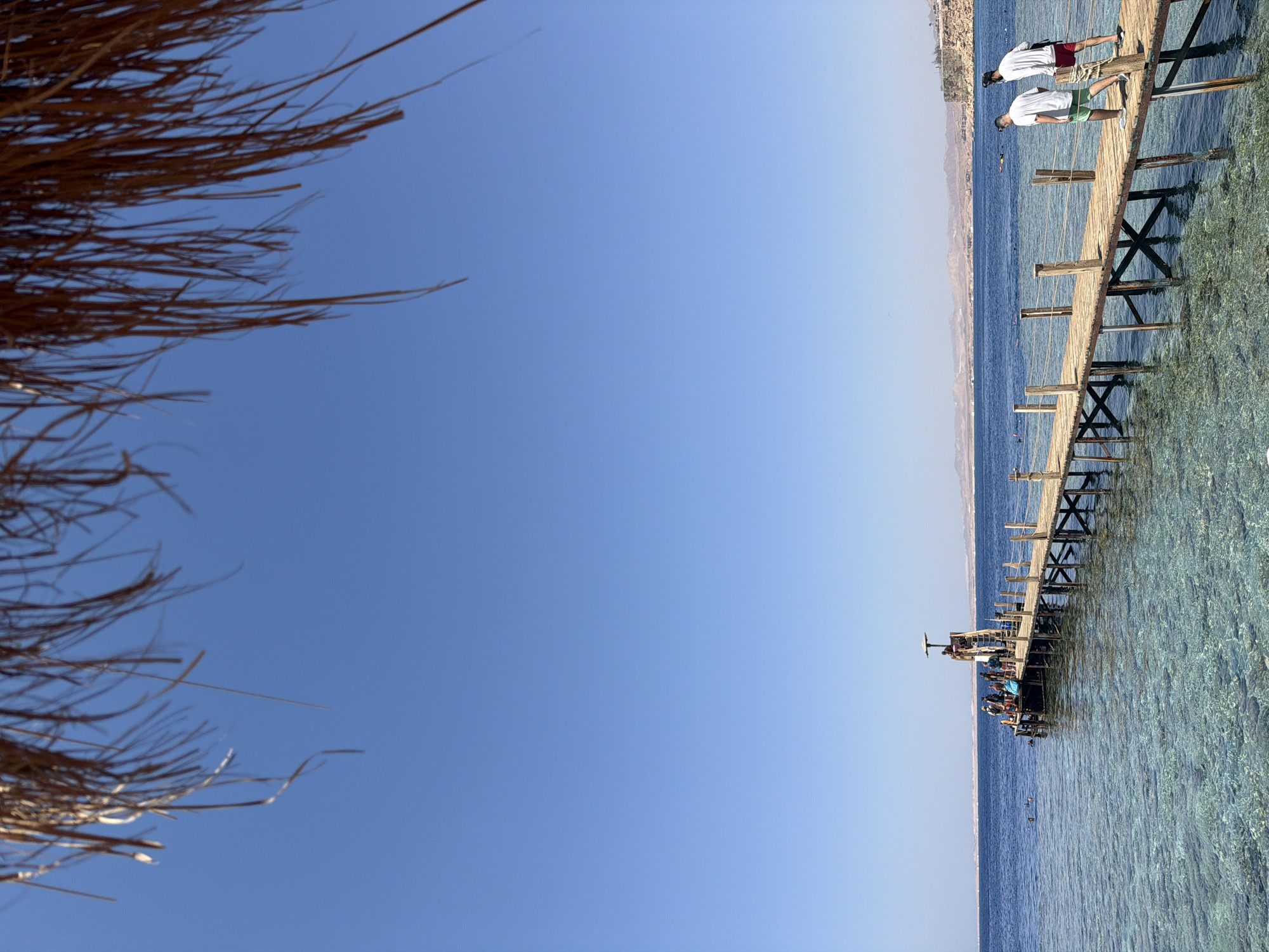 The image depicts a wooden pier extending into the clear, turquoise waters of Sharm El Sheikh, Egypt. The pier is populated by a group of people, some standing and observing the water, others gathered near the end of the pier. One person is visible on a lifeguard tower situated on the pier. In the foreground, two individuals in casual attire are walking along the pier, one wearing a white t-shirt and green shorts, the other in a white t-shirt and red shorts. The water is remarkably transparent, revealing the coral formations beneath the surface. In the distance, a coastline with arid hills is visible under a clear blue sky. The top of the frame is partially obscured by dried palm fronds, suggesting a tropical or semi-tropical setting.