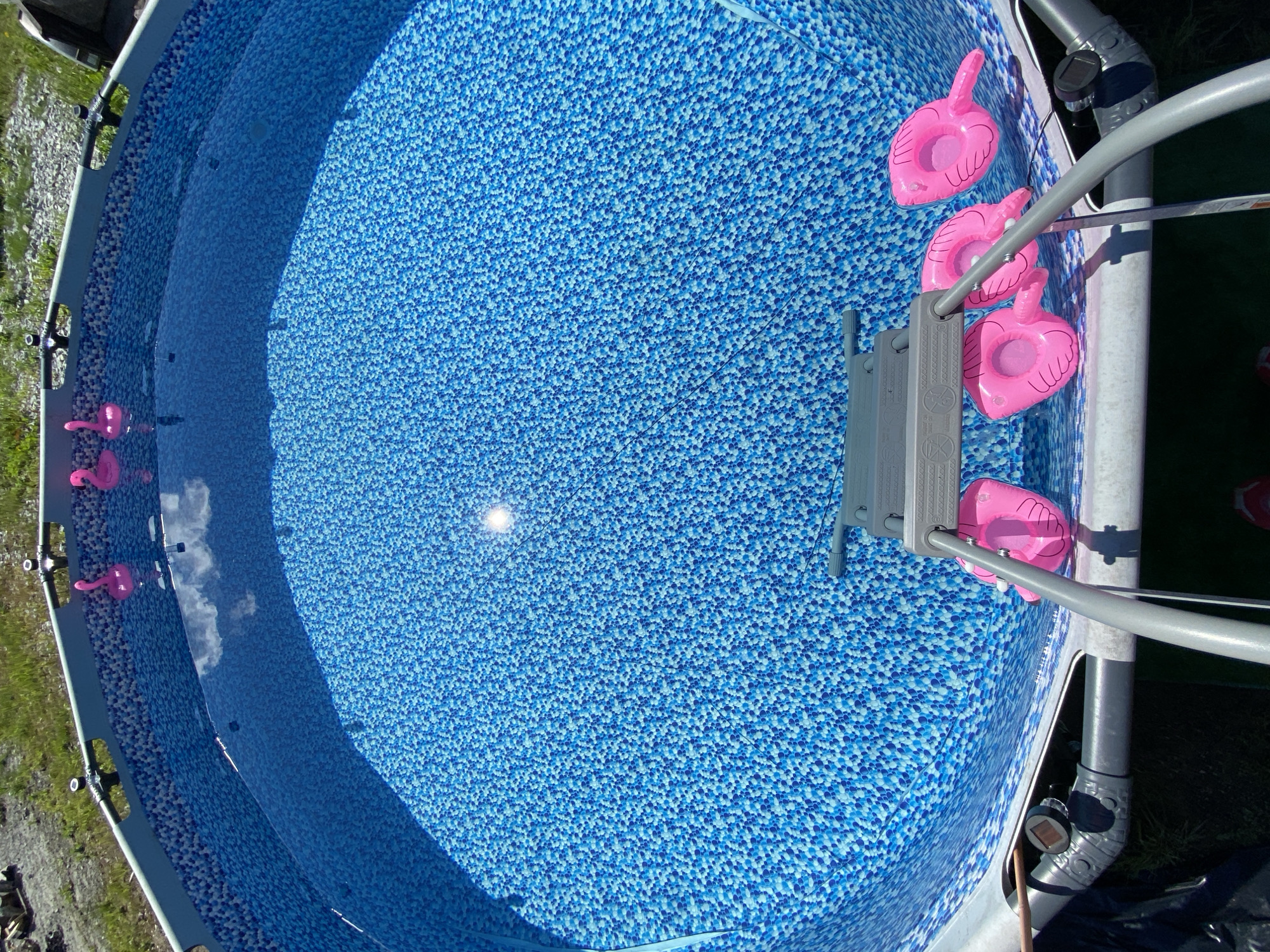 A bright, overhead, medium shot captures an empty, above-ground swimming pool filled with clear blue water. The water's surface is disturbed by a central, bright sun reflection. The pool's interior is adorned with a blue and white pebble-like mosaic pattern. In the upper portion of the pool, two pink inflatable flamingos float on the surface. Near the pool's edge, on the right side and toward the bottom of the frame, three more pink inflatable flamingos rest on the pool liner, partially submerged in water. A gray metal ladder with plastic steps is positioned at the bottom center of the frame, extending into the pool. The exterior of the pool shows a gray metal frame and liner, with green grass and dirt visible in the background, suggesting an outdoor setting. The scene is devoid of human presence. The metadata indicates the image was taken in Artyom, Russia.
