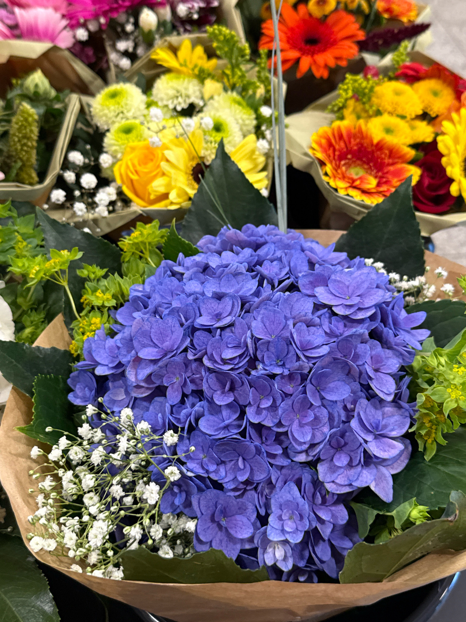 The image shows a close-up view of a bouquet of flowers. The dominant flower is a large cluster of vibrant purple hydrangeas, with smaller clusters of tiny white flowers mixed in. To the right and behind the hydrangeas, there are sprigs of small, bright green flowers. The bouquet is wrapped in brown paper. In the background, out of focus, other bouquets of flowers are visible, including yellow gerbera daisies, orange gerbera daisies, and possibly pink and red flowers. The image appears to have been taken indoors, possibly in a flower shop or market. There are no people visible in the image, and no discernible action is taking place. The lighting is bright, illuminating the colors of the flowers. Without further context, the exact location within Bad Lauterberg im Harz, Germany cannot be determined from the image alone, however, it is likely a floral business.