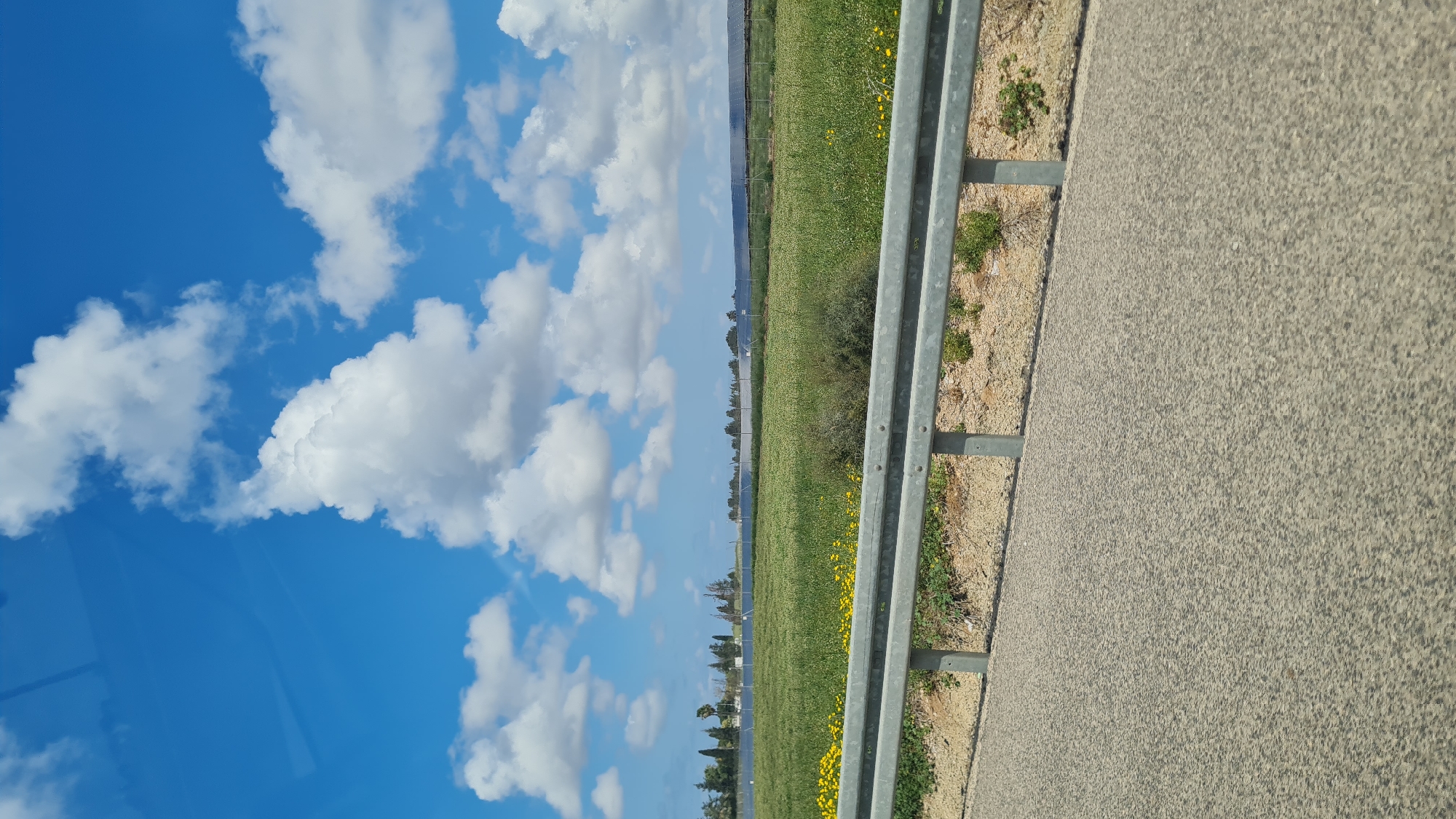 A road runs along a field under a cloudy blue sky in Hof Ashkelon Regional Council, Israel. A grey metal guardrail separates the road from the green field, which contains small yellow flowers. Distant trees line the edge of the field.