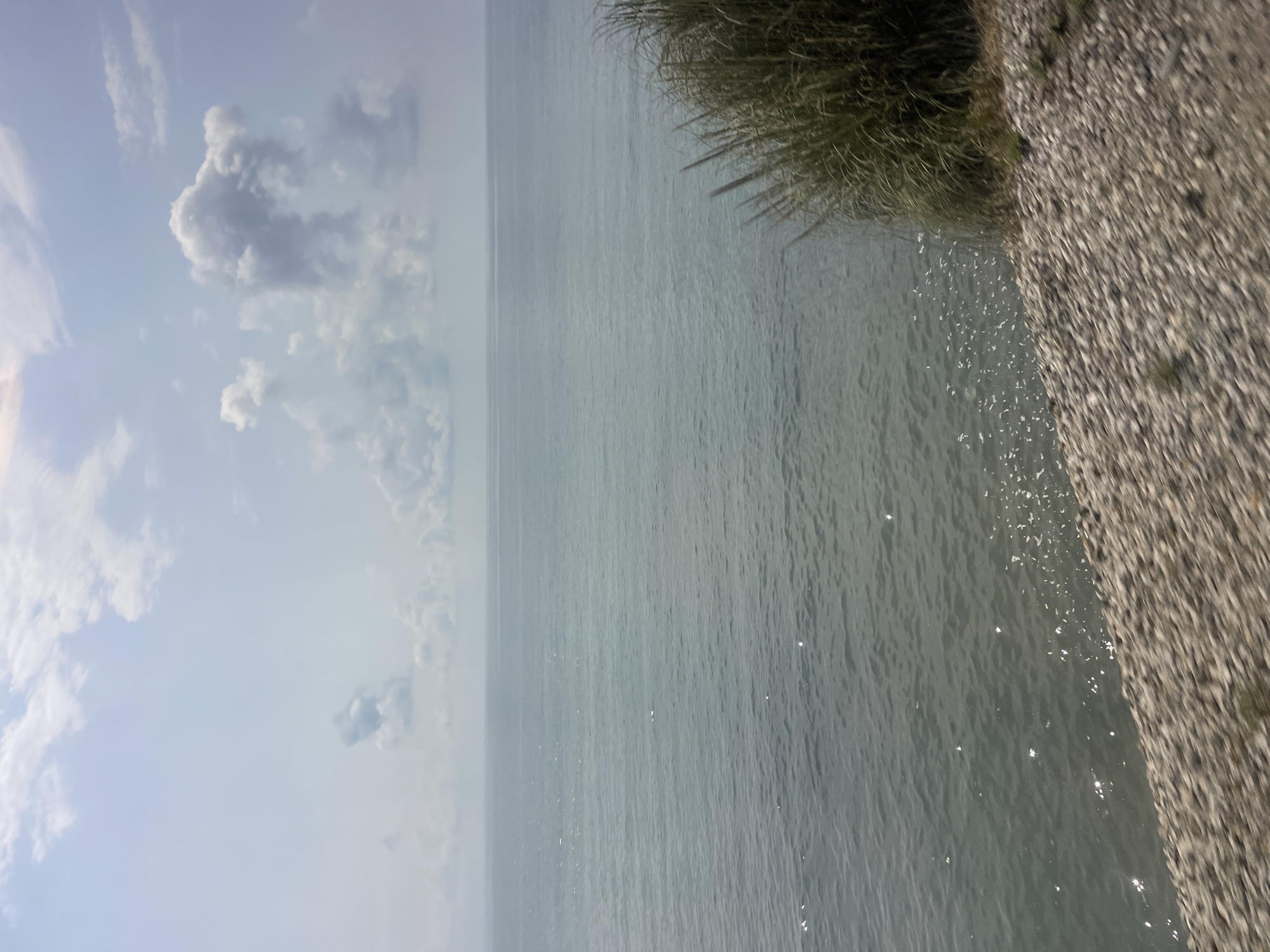 The image depicts a serene coastal scene, likely from the city of Sochi, Russia, given the provided context. The vast expanse of the Black Sea dominates the upper two-thirds of the frame, its surface a calm, pale blue-gray with subtle ripples reflecting the light. The horizon is a thin, indistinct line where the sea meets a hazy, pale blue sky. Scattered white clouds drift across the sky, some wispy and elongated, others more substantial and cumulus-like, with a particularly prominent, darkly shadowed cloud formation slightly off-center in the upper portion of the sky.
In the foreground, a rugged, pebble-strewn shoreline slopes gently towards the water. The pebbles are of varying sizes and shades of gray, brown, and white, creating a textured surface. To the right of the frame, a dense clump of tall, dry grass with slender, feathery blades grows along the edge of the embankment, adding a touch of wildness to the scene. The sunlight, though not directly visible, casts a gentle shimmer on the water's surface, particularly near the shore, and highlights the edges of the pebbles on the land. There are no people or man-made structures immediately visible in this snapshot of nature's tranquility.
