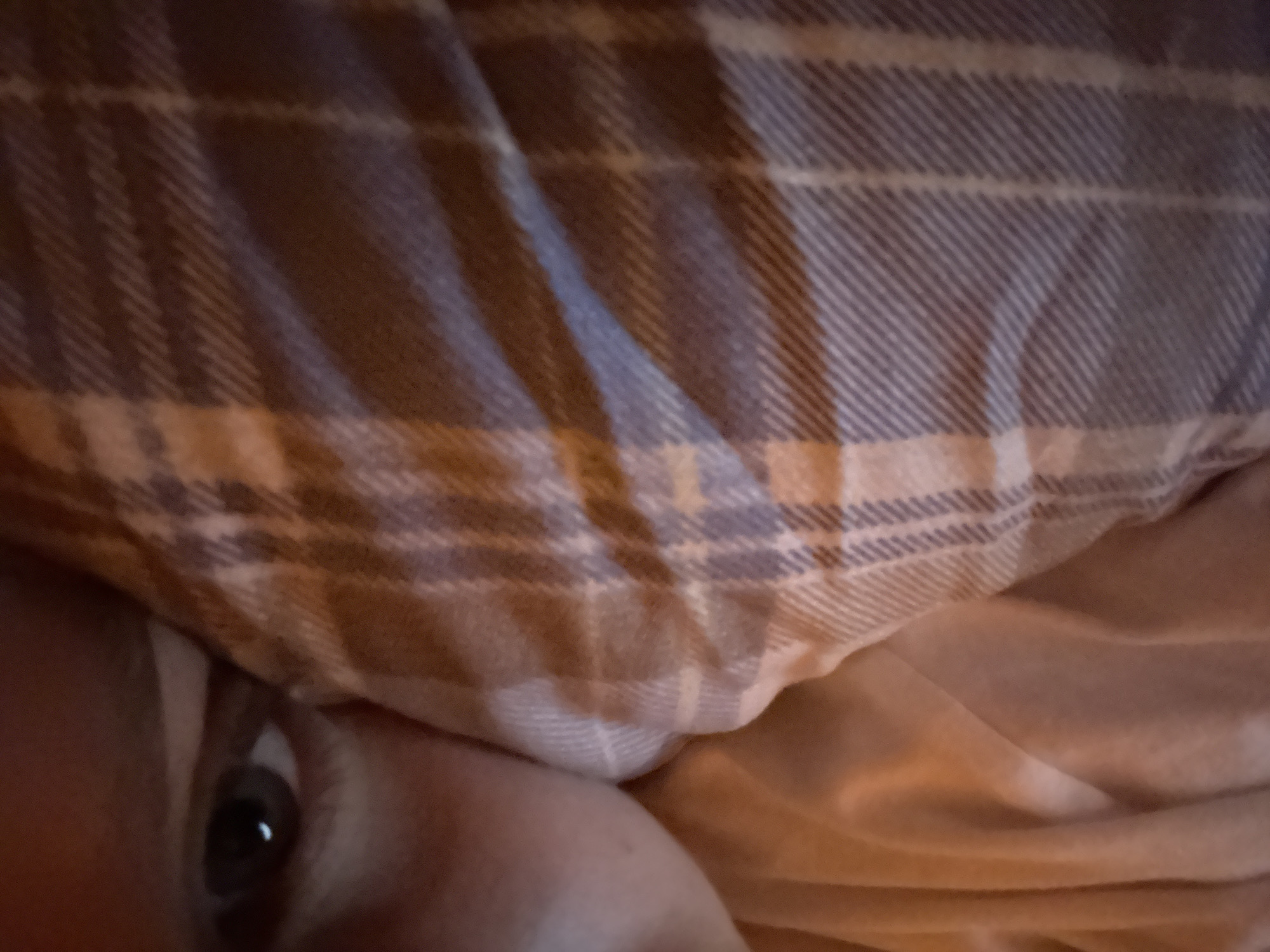 A close-up, high-angle shot shows the right eye of a person looking out from under a plaid blanket. The eye is dark and the iris is visible. The blanket is made of a soft, fuzzy material and has a pattern of white and purple plaid lines. The person's skin is visible around the eye, and it appears to be fair. The background is out of focus and appears to be a soft, warm color, possibly a bed or couch. The image is dimly lit, with warm lighting. The photograph appears to have been taken in a home setting.