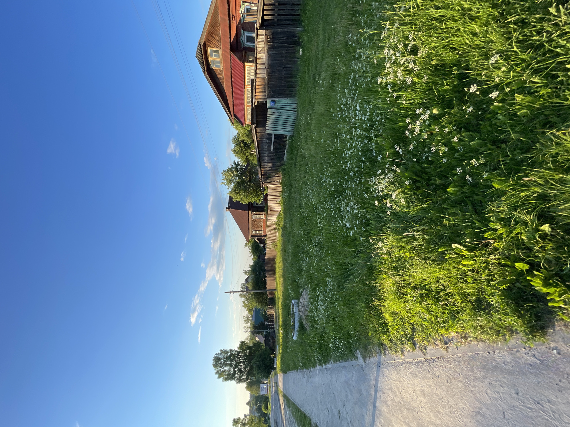 The image depicts a quiet, sun-drenched street scene in the village of Krasnye Baki, Russia. A paved sidewalk runs along the left side of the frame, bordering a lush, green field dotted with small white wildflowers. In the background, traditional wooden houses with steep roofs are visible, separated by rustic wooden fences. Trees and foliage are scattered throughout the landscape, adding to the rural atmosphere. The sky is a clear, vibrant blue with a few wispy clouds, suggesting a pleasant, late afternoon or early evening. There are no people or animals visible in the image. The overall impression is one of tranquility and simplicity.