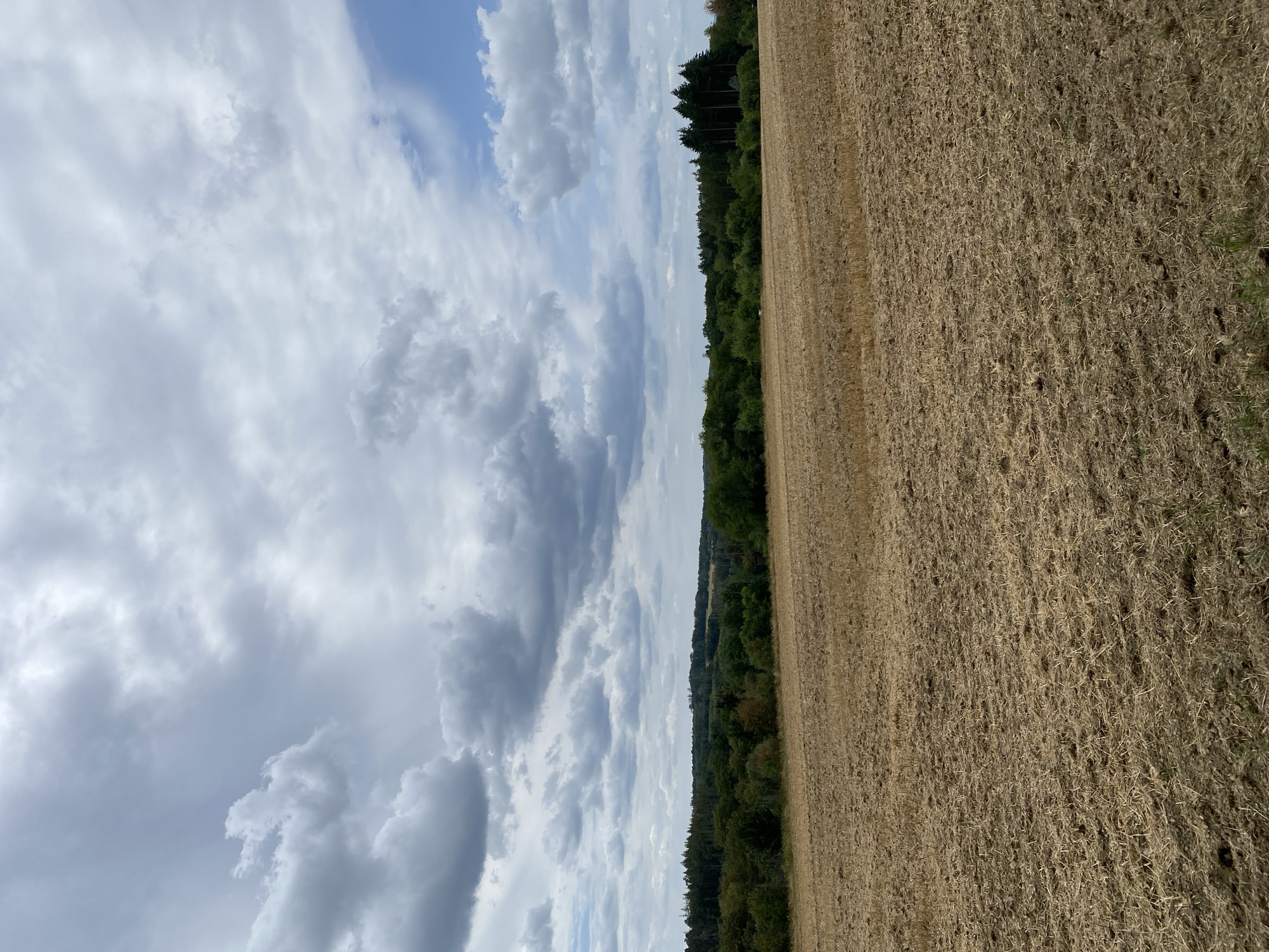 The image depicts a rural landscape under a cloudy sky. In the foreground, a recently harvested field, appearing dry and tilled, stretches towards the horizon. The ground is covered with stubble and dry soil, indicating agricultural activity.
In the middle ground, a dense line of trees forms a dark green barrier, separating the field from the sky. This treeline appears to be a mix of deciduous and coniferous trees, with some variation in height and density.
The sky is dynamic, with a significant portion covered by grey, textured clouds. However, patches of blue sky are visible, particularly on the right side of the image, suggesting a break in the overcast conditions. The overall lighting is diffused, consistent with a cloudy day.
The scene is devoid of any people, animals, or man-made structures apart from the field itself, implying an open, natural environment. The location is identified as Altenkirchen, Germany. The image captures a moment of quiet, rural scenery, likely during the post-harvest season.