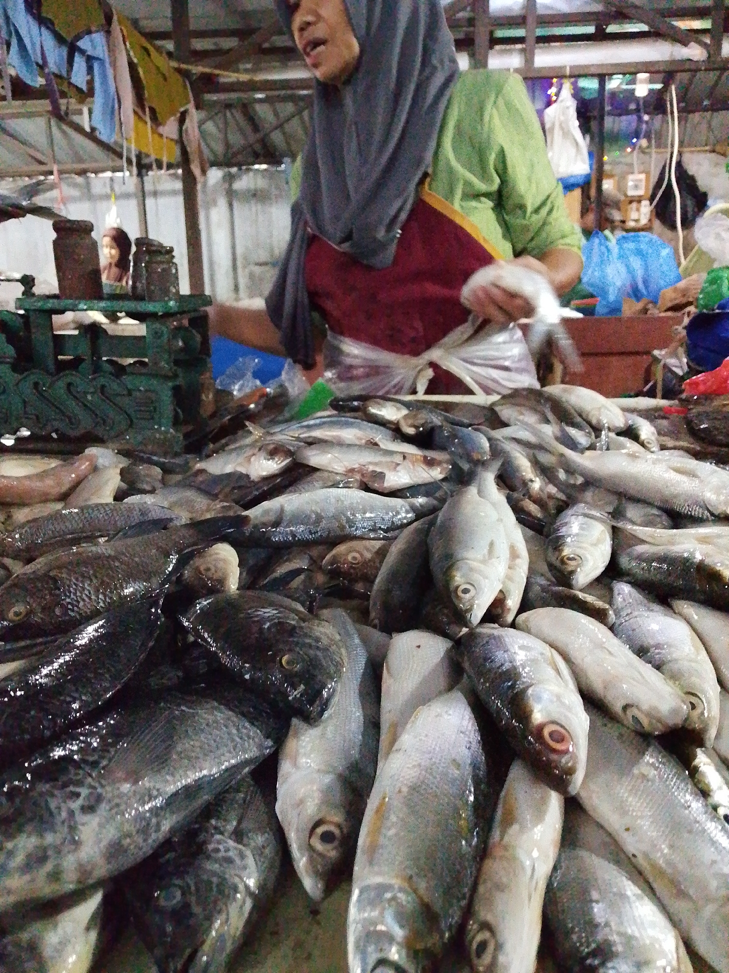 The image depicts a fish market scene in Pepedan, Indonesia. A woman wearing a grey hijab and a red apron over a green shirt stands behind a large pile of fresh fish. She is in the process of handling a plastic bag, presumably for packaging or weighing the fish. The fish are of various sizes and species, laid out on a flat surface. In the background, there is a traditional green metal weighing scale with two old metal jars on its platform. The market appears to be covered, with wooden beams and corrugated metal visible in the ceiling. Colorful fabrics and other market items are also present in the background. The lighting suggests an indoor setting, possibly with natural light filtering in or artificial lighting. The overall impression is of a bustling, local marketplace where fresh produce, specifically fish, is being sold.