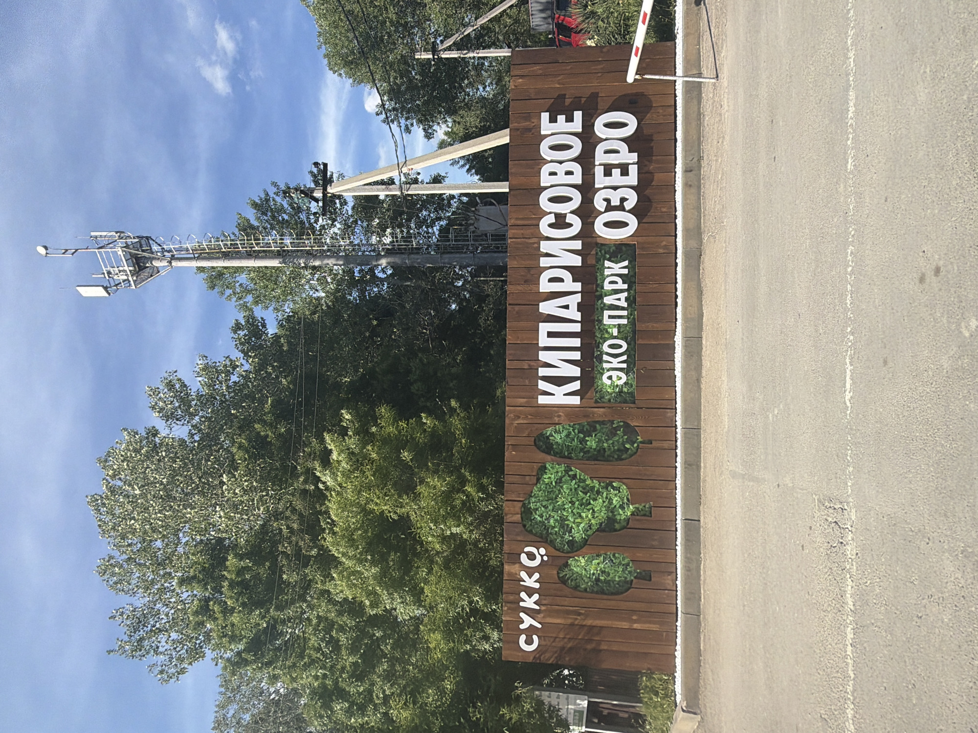 This image captures a vibrant outdoor scene, likely an entrance to a natural attraction or park in Sukko, Russia. The focal point is a tall, vertical wooden sign positioned beside an asphalt road.
The sign is crafted from horizontal wooden planks and features prominent white, raised Cyrillic lettering. The main text reads "КИПАРИСОВОЕ ОЗЕРО" (KIPARISOVOE OZERO), which translates to "Cypress Lake." Below this, a smaller rectangular section specifies "ЭКО-ПАРК" (EKO-PARK), meaning "Eco-Park." On the lower left side of the sign, the word "СУККО" (SUKKO) is also visible, indicating the location. The sign's design incorporates several tree or plant-shaped cut-outs, which are filled with artificial green foliage, enhancing its eco-friendly theme.
To the left of the sign, a dense canopy of lush green trees, likely deciduous, fills the background. A tall metal mast or communications tower, equipped with antennae and a light or camera fixture, rises above the treetops against a clear, bright blue sky dotted with a few sparse white clouds. Utility poles with wires are also visible among the greenery.
In the foreground and extending to the right, an asphalt road features a distinct white line. A small curb separates the sign from the road. A red and white striped barrier arm, suggesting an entrance or checkpoint, is partially visible above the right edge of the sign.
The scene depicts a sunny daytime, with no individuals visible, conveying a sense of calm and an invitation to the natural setting of the eco-park.