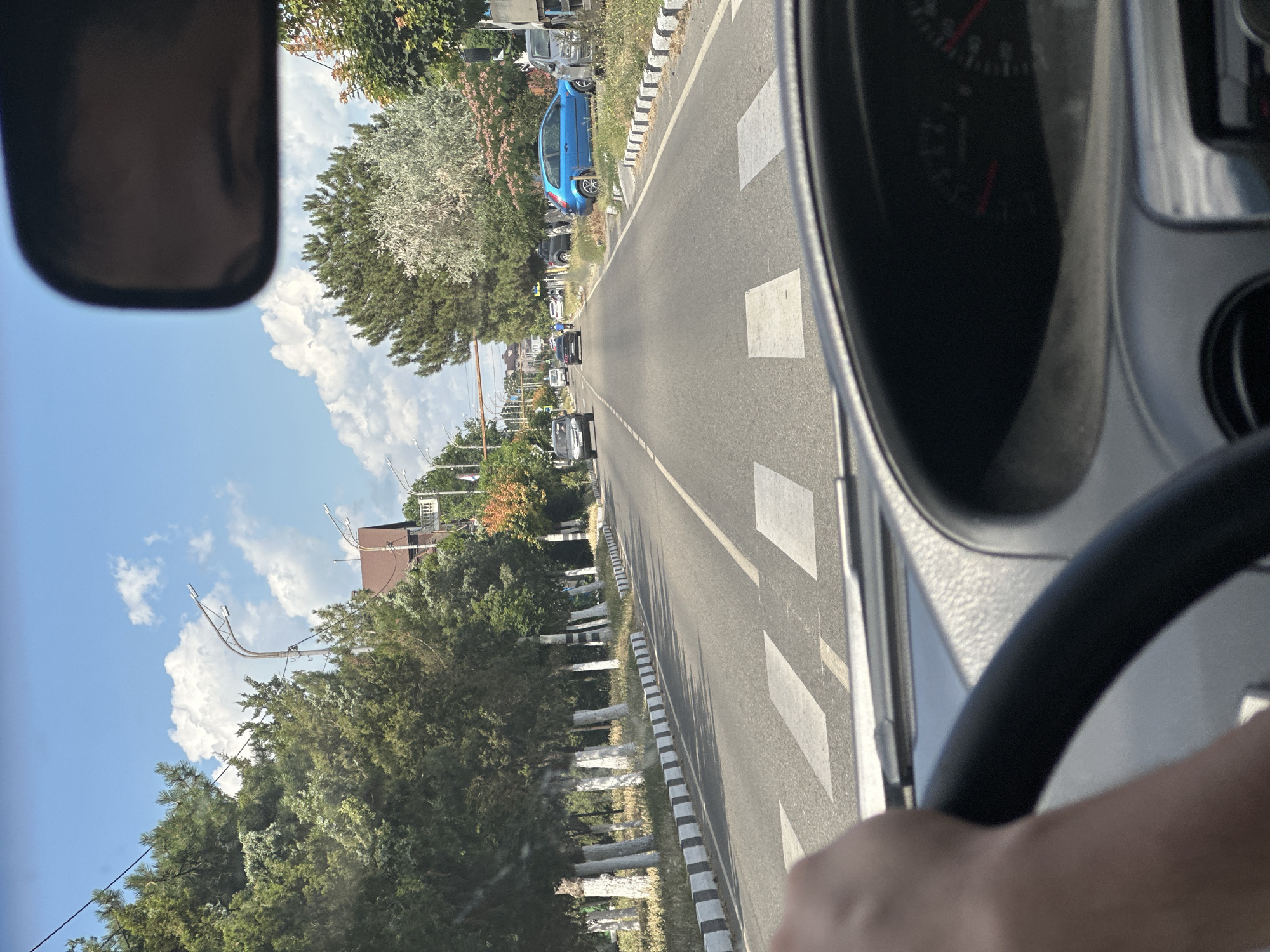 The image is taken from inside a car driving on a sunny day in Taman, Russia. The camera is pointed forward through the windshield, showing a road with a pedestrian crossing. The car's steering wheel is visible in the foreground, along with the dashboard. Trees line the sides of the road, some with their trunks painted white. Buildings and other cars are visible in the distance. The sky is blue with scattered clouds.