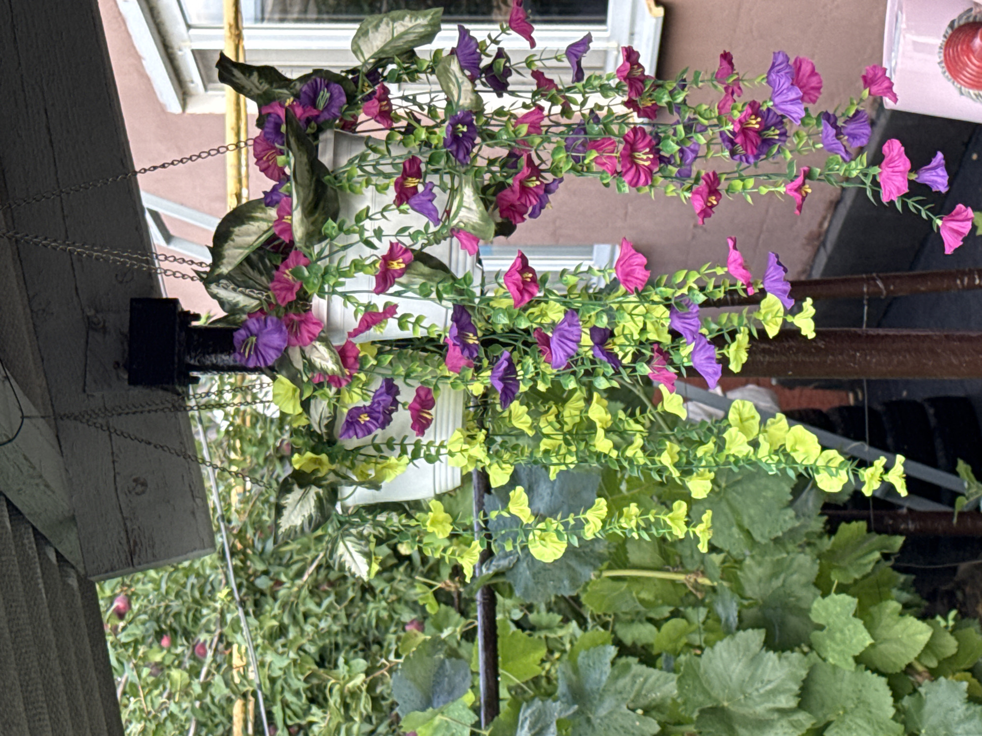 This media file features a hanging planter overflowing with artificial flowers and greenery. The flowers are a mix of vibrant purples and pinks, with some lighter green foliage intertwined. The planter itself is white and appears to be made of plastic. It is suspended by a metal chain, with part of a wooden structure visible to the left, possibly a porch or awning. In the background, a pink-brown wall and a window with a light-colored frame are visible, suggesting an outdoor setting near a building. Below the planter, lush green foliage, likely from real plants like grapevines, fills the lower portion of the frame, with some reddish-purple fruits, possibly plums or cherries, visible amongst the leaves. The overall scene suggests a garden or patio area. The lighting indicates it could be daytime. No people are visible in the media file. There is no visible text. The location context is Novoshakhtinsk, Russia.
