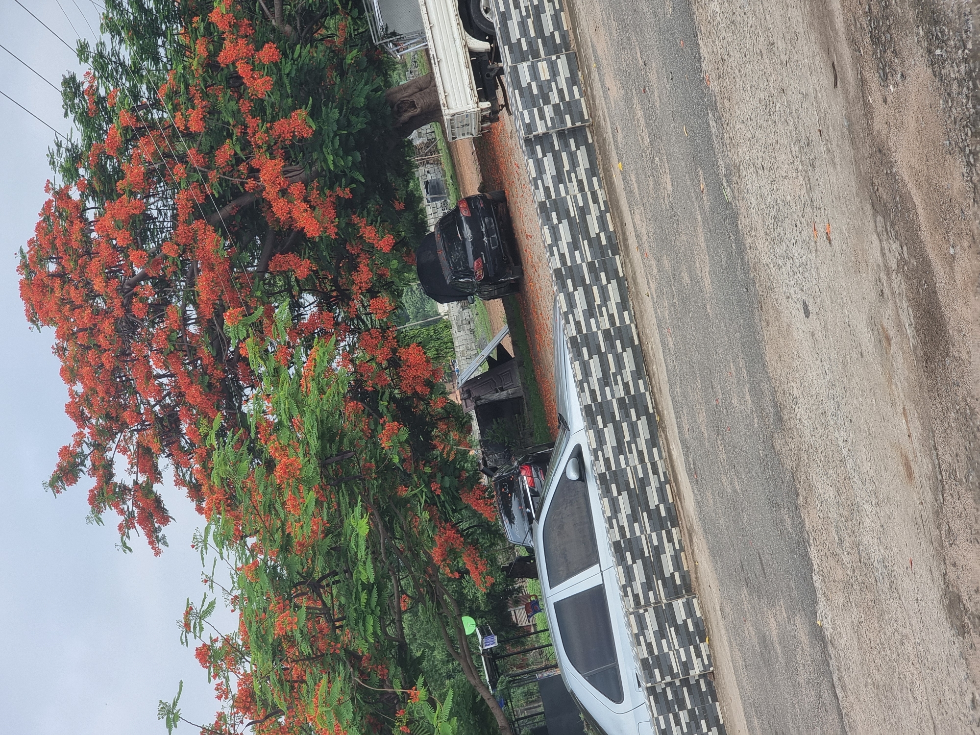 The image shows a street scene in Gwagwalada, Nigeria. A large tree with vibrant orange blossoms dominates the left side of the frame, partially obscuring a parked black car. A silver car is parked closer to the foreground on the right. A section of patterned pavement runs along the edge of the road. A white truck is visible further down the street. The sky is overcast.