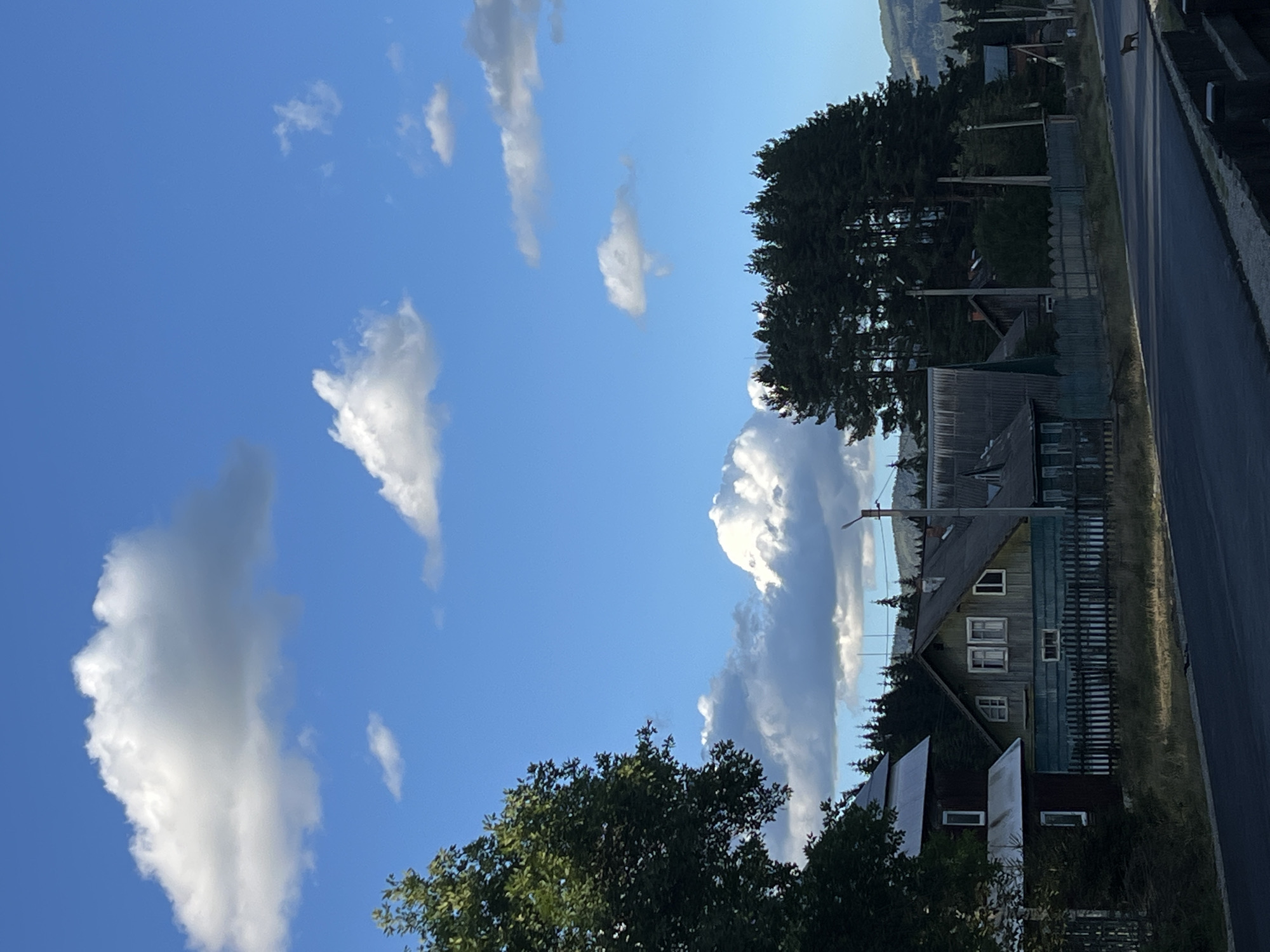 A vertical, eye-level, full shot captures a view of the village of Vorokhta, Ukraine, with a road in the foreground and a cluster of houses and trees behind it. The sky is a bright blue, dotted with fluffy white clouds. On the left side of the image, a large green tree is partially visible, its leaves casting shadows. To its right, several wooden houses are clustered together, some with metal roofs and others with darker, possibly shingled roofs. A light blue wooden fence runs along the front of the properties. Behind the houses, a dense line of dark green pine trees stretches across the mid-ground, with rolling, tree-covered hills visible in the distance under the sky. A narrow, dark asphalt road runs diagonally from the bottom left corner towards the right, with a low concrete barrier visible along its edge. On the right side of the road, a small, reddish-brown animal, resembling a fox, is walking. The overall scene depicts a rural village setting under a bright, partly cloudy sky.