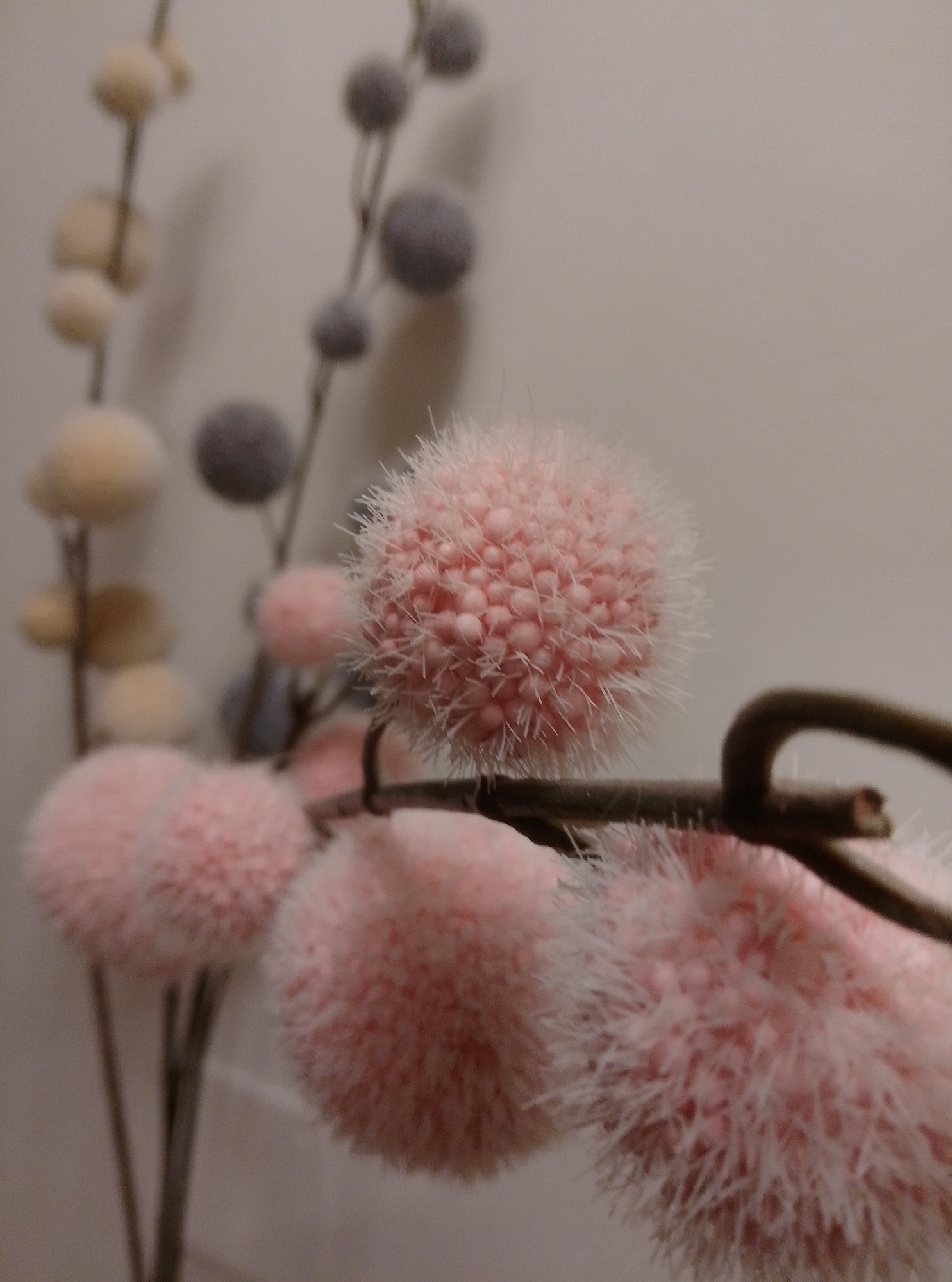 A close-up, vertical, eye-level shot showcases several fluffy, spherical decorative floral elements arranged on thin stems against a plain, light-colored background. The foreground is dominated by two large, pink floral spheres, one in focus with its delicate pink filaments extending outward. Behind these, and slightly to the left, are several more floral elements in shades of pink, yellow, and gray, some in focus and others blurred. The stems are dark and thin, appearing to be artificial. A dark, curved twig-like object traverses the middle of the frame, partially obscuring the floral elements. The lighting is soft, creating a gentle illumination on the subjects. The overall impression is one of a decorative arrangement, possibly for interior design or a craft project.