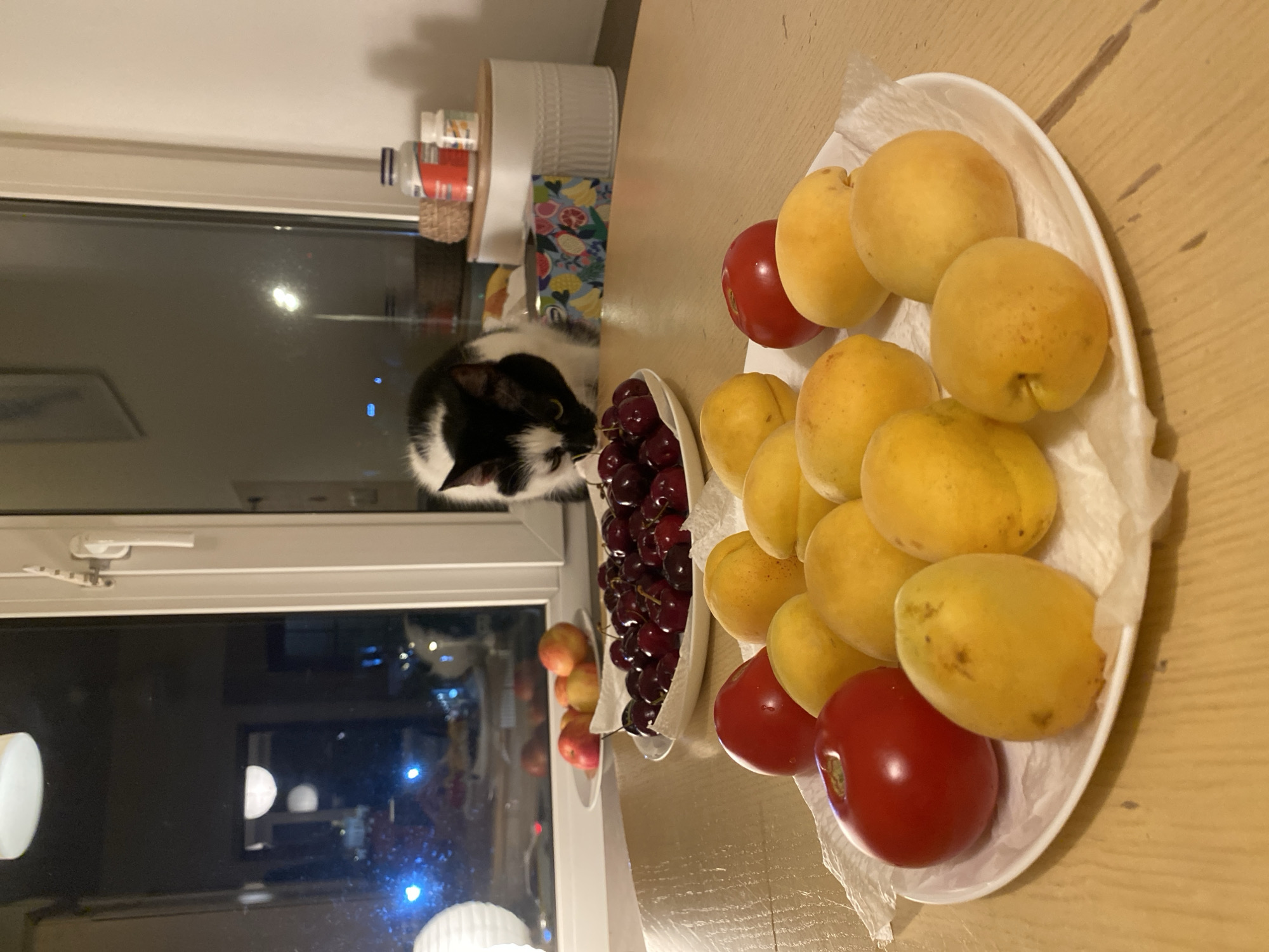 The image depicts an indoor scene, likely a kitchen or dining area, on a table with a wooden surface. In the foreground, a white plate holds an assortment of fruits, including at least two red tomatoes and several yellow apricots. Behind this plate, another white plate is filled with dark red cherries. Further back, a plate of red and yellow apples is visible on a windowsill. A black and white cat is perched on the windowsill, looking down at the cherries with its head tilted. The background shows a window with a nighttime city view, characterized by illuminated buildings and lights, suggesting an urban setting. The overall impression is one of domestic life, with food laid out and a pet present. The image does not provide any specific information or clues to indicate the location as Moscow, Russia.