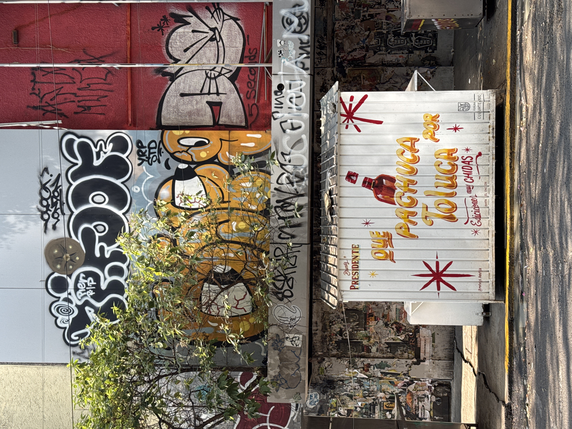 The image shows a street scene in Mexico City, Mexico. The background consists of a wall covered in graffiti and posters. The graffiti includes cartoonish figures in black, white, red, and yellow. A tree with green leaves and bare branches partially obscures the graffiti. To the right, a white food stand is present. It has red star-shaped designs and advertisements for "PACHUCA POR TOLUCA" with the text "Ediciones muy CHIDAS." The stand is situated next to a street with a yellow line indicating the edge of the road. The street appears to be cracked.