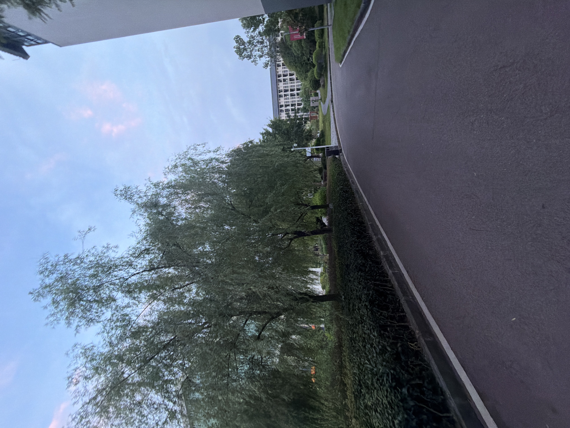 An outdoor, eye-level, wide shot captures a paved road curving slightly to the right, bordered by manicured bushes on the left and a building in the background. Two large weeping willow trees with dense foliage dominate the left side of the frame, their branches hanging low. The sky above is a blend of twilight blue and pale pink clouds. In the background, a modern, multi-story building with many windows is visible, surrounded by green trees and shrubs. The road itself is dark asphalt with a white line marking its edge on the left. A black trash receptacle is situated near the bushes on the left. The overall scene suggests a park or campus setting in Jiangjin, China, during dusk. There are no people clearly visible in the image.