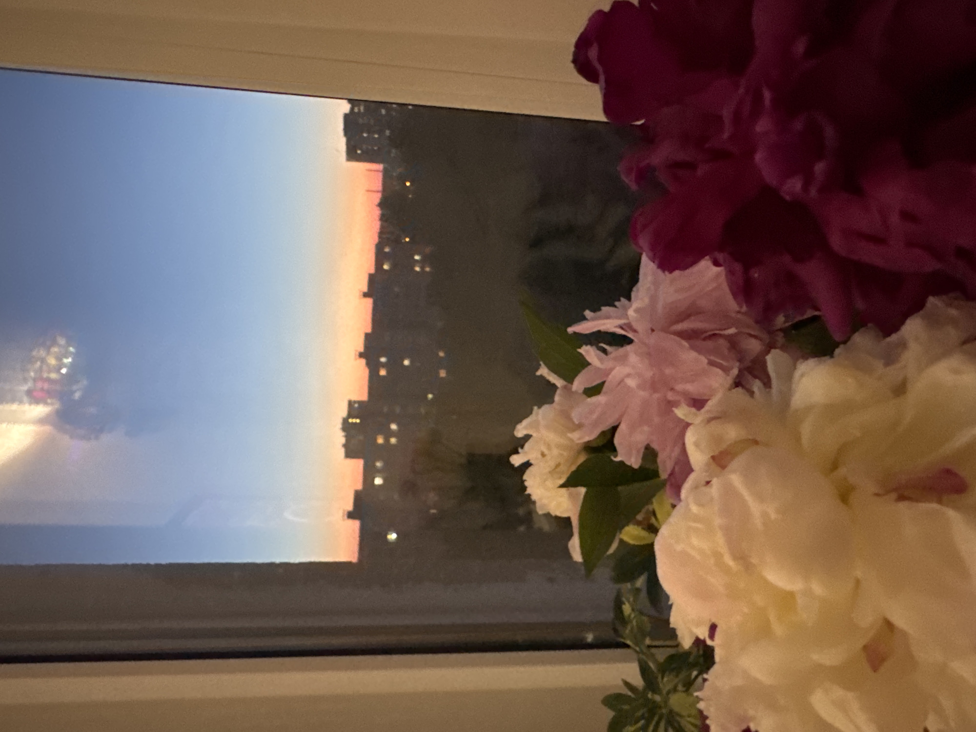 A close-up shot of peonies in the foreground, with a city skyline visible through a window in the background. The sky is a gradient of blue and orange, indicating either sunrise or sunset. The buildings in the skyline are silhouetted against the colorful sky, with lights from windows dotting the structures. The peonies are in various shades of white, pink, and deep red, with lush green foliage. The overall lighting suggests it is either dawn or dusk. The image appears to be taken from an indoor setting, looking outwards through a window.